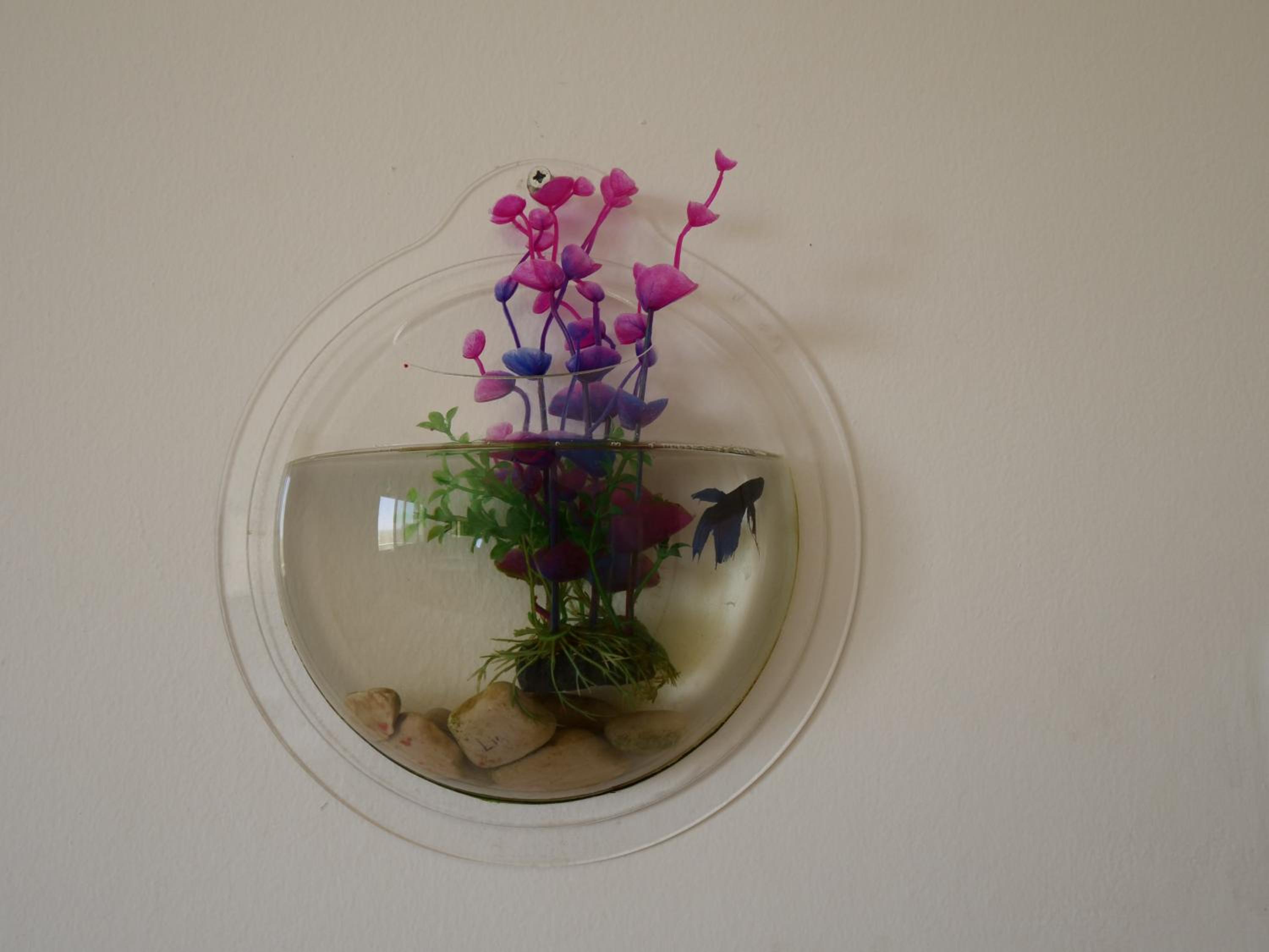 Photo 45