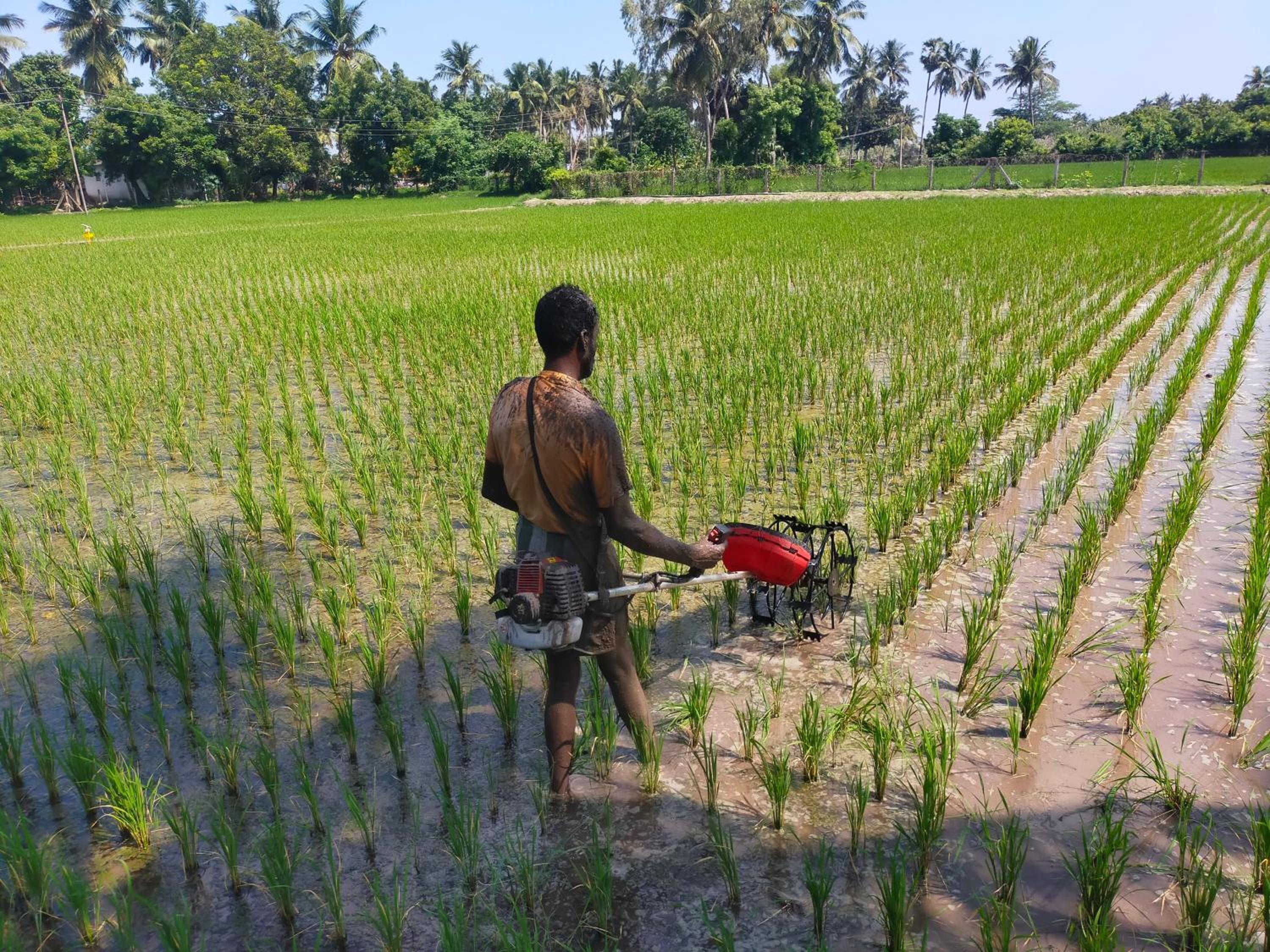other