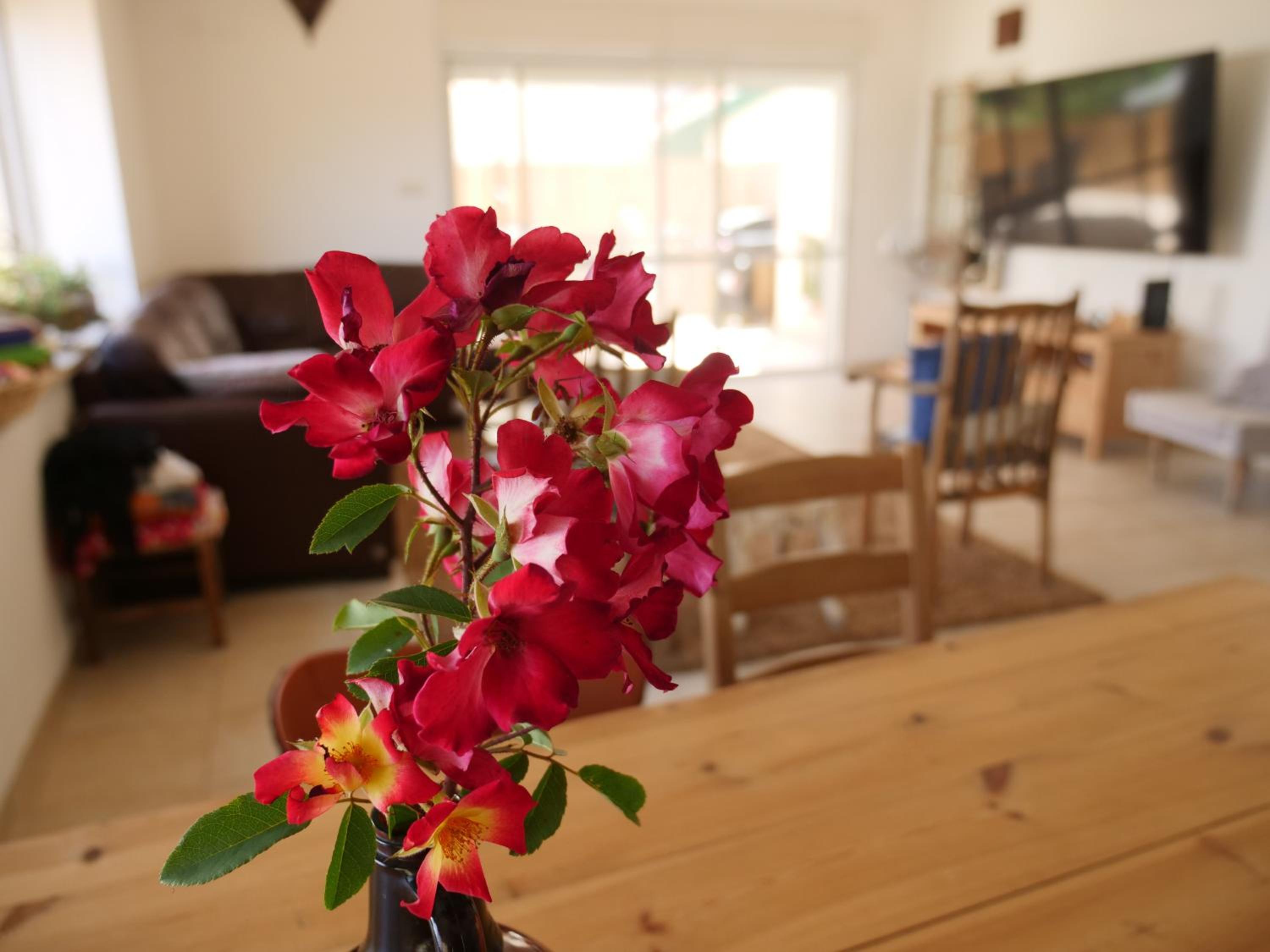 Oren's place - perfect for families & friend's view 2