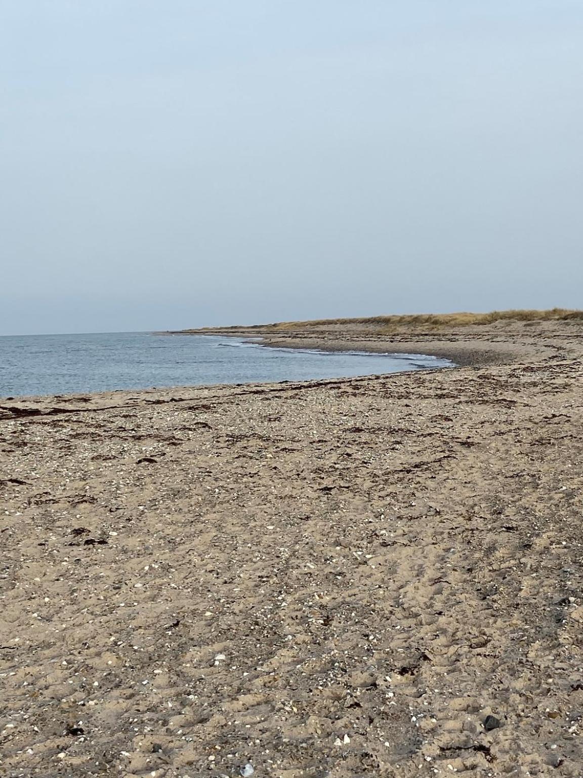 Ferienwohnung Süd en Fehmarn