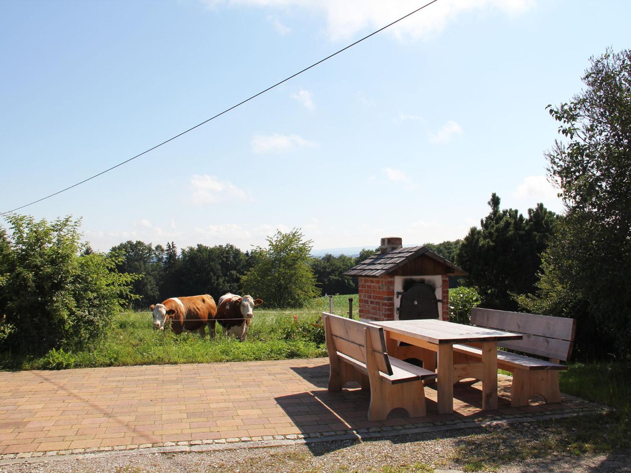 Haslacher Hof view 5