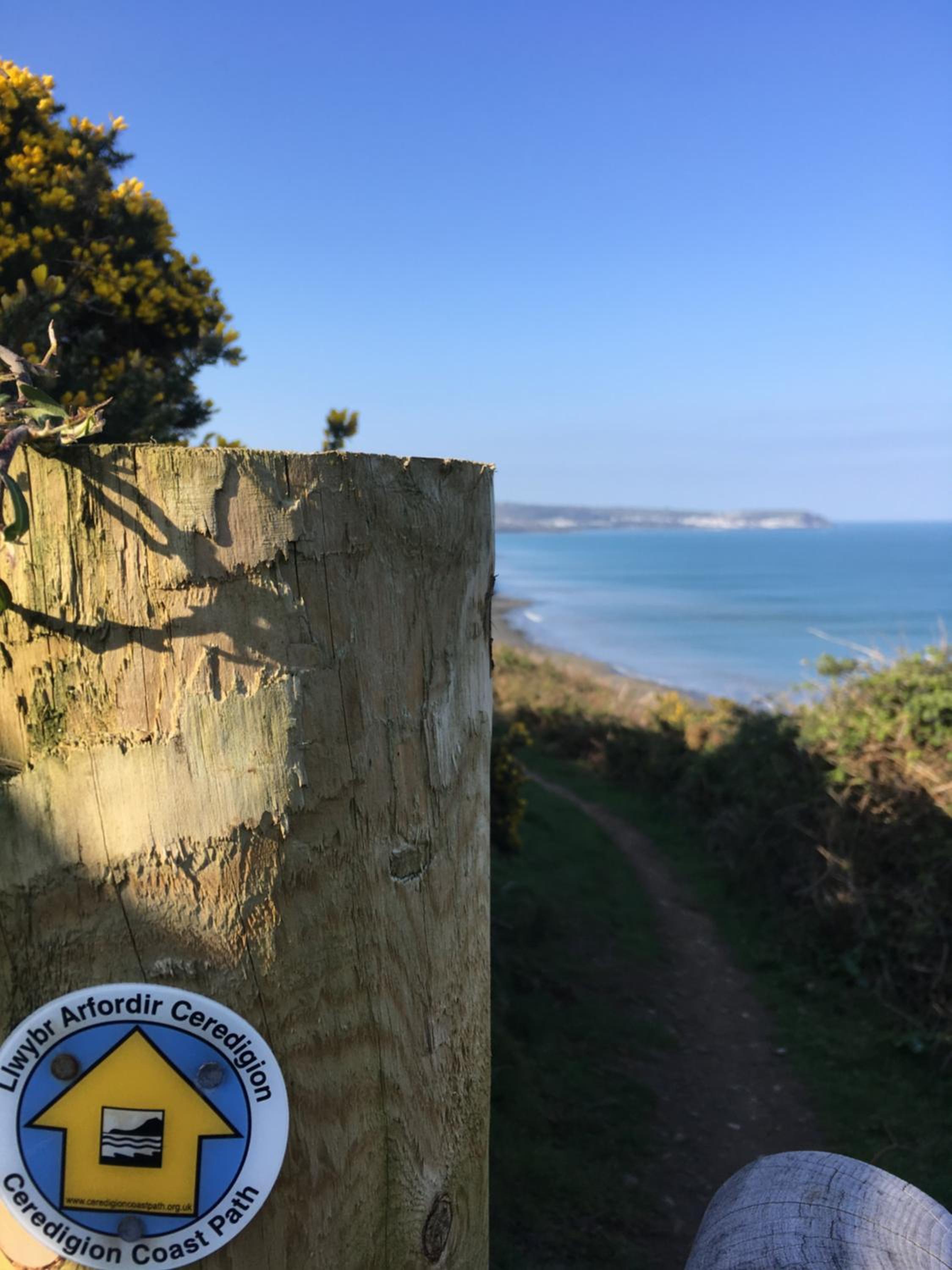 Photo 20