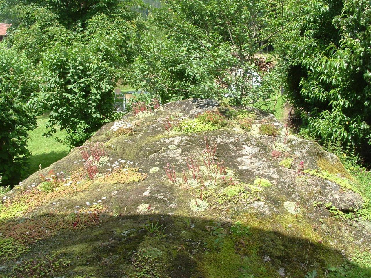 Haus Eschenberg view 4