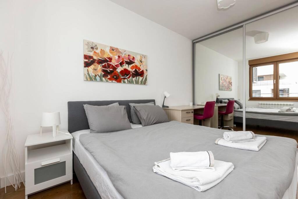 Zemun Luxury - Comfortable, workspace, quiet, free parking, Netflix view 2