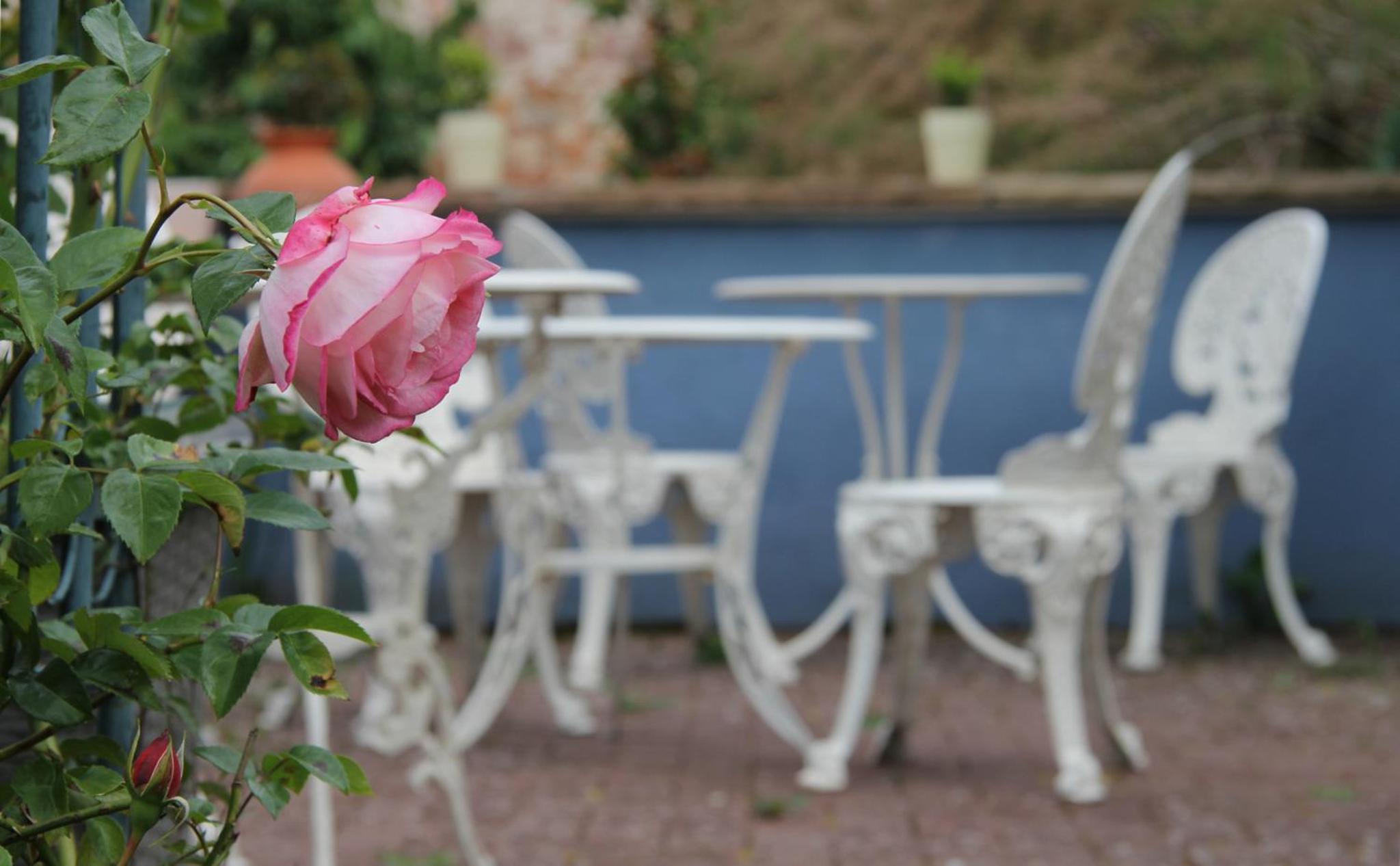 No.31 B&B im Rosengarten