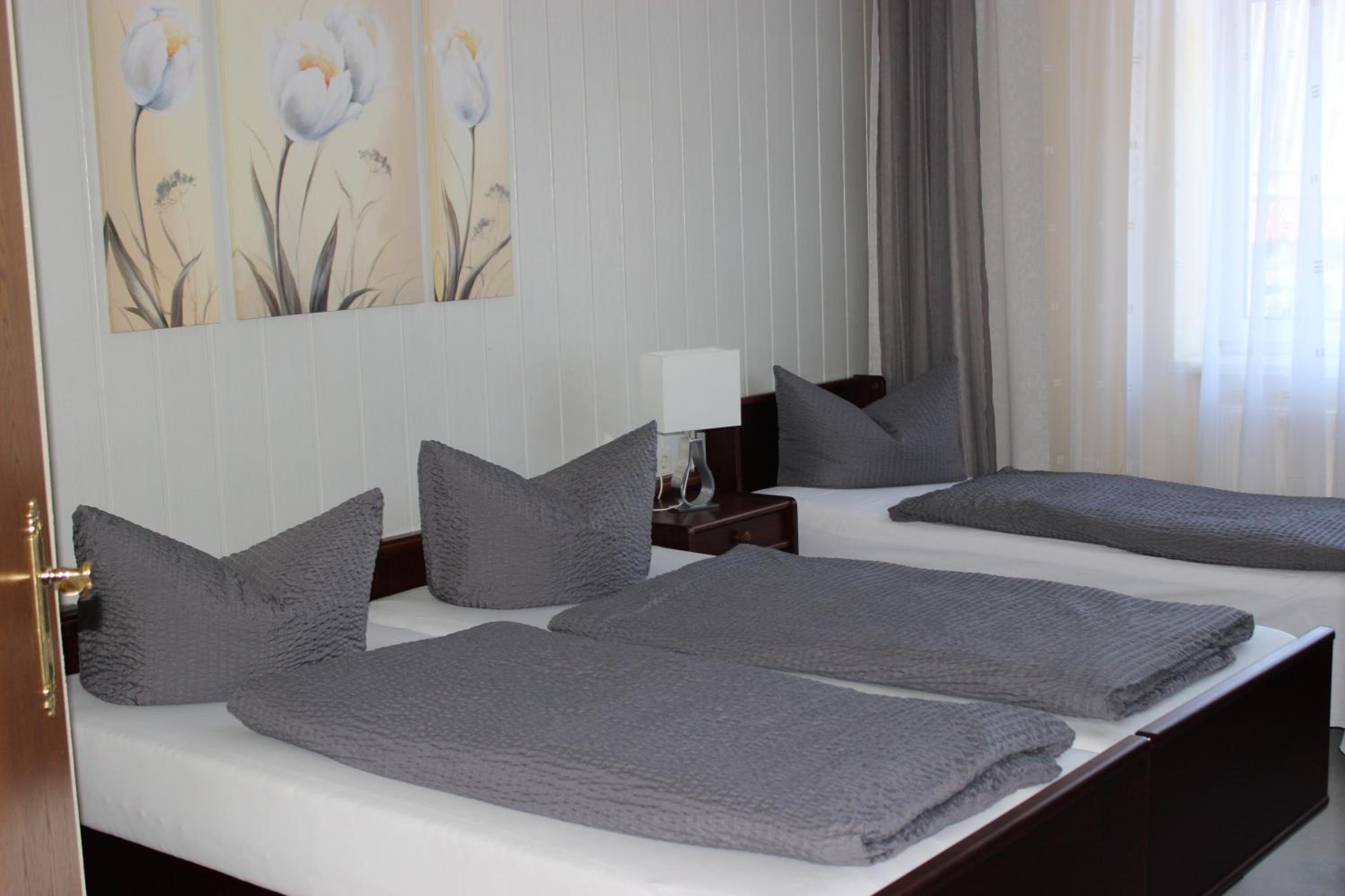 Gasthof und Pension Frankenthal - garni