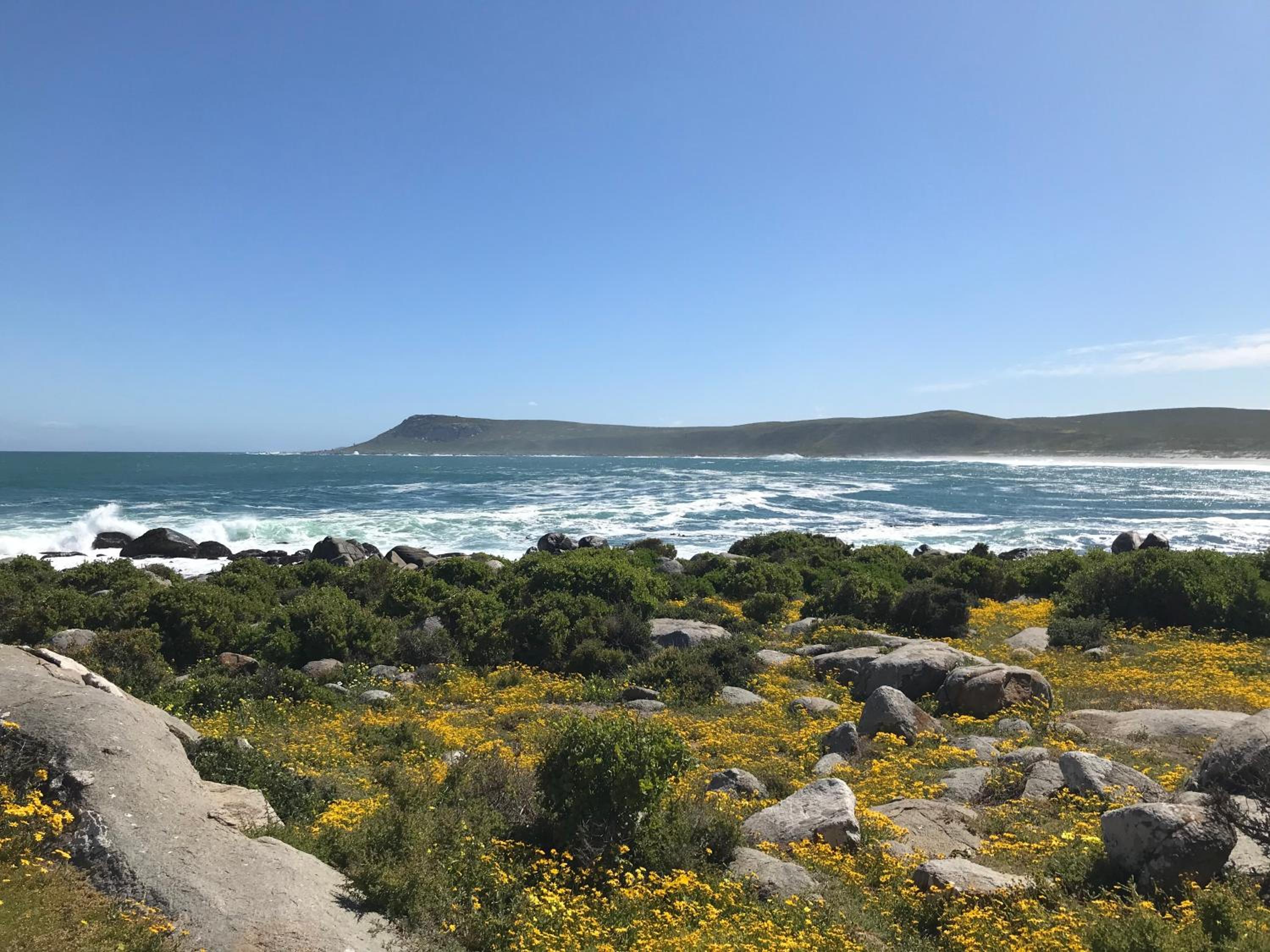 Photo 44