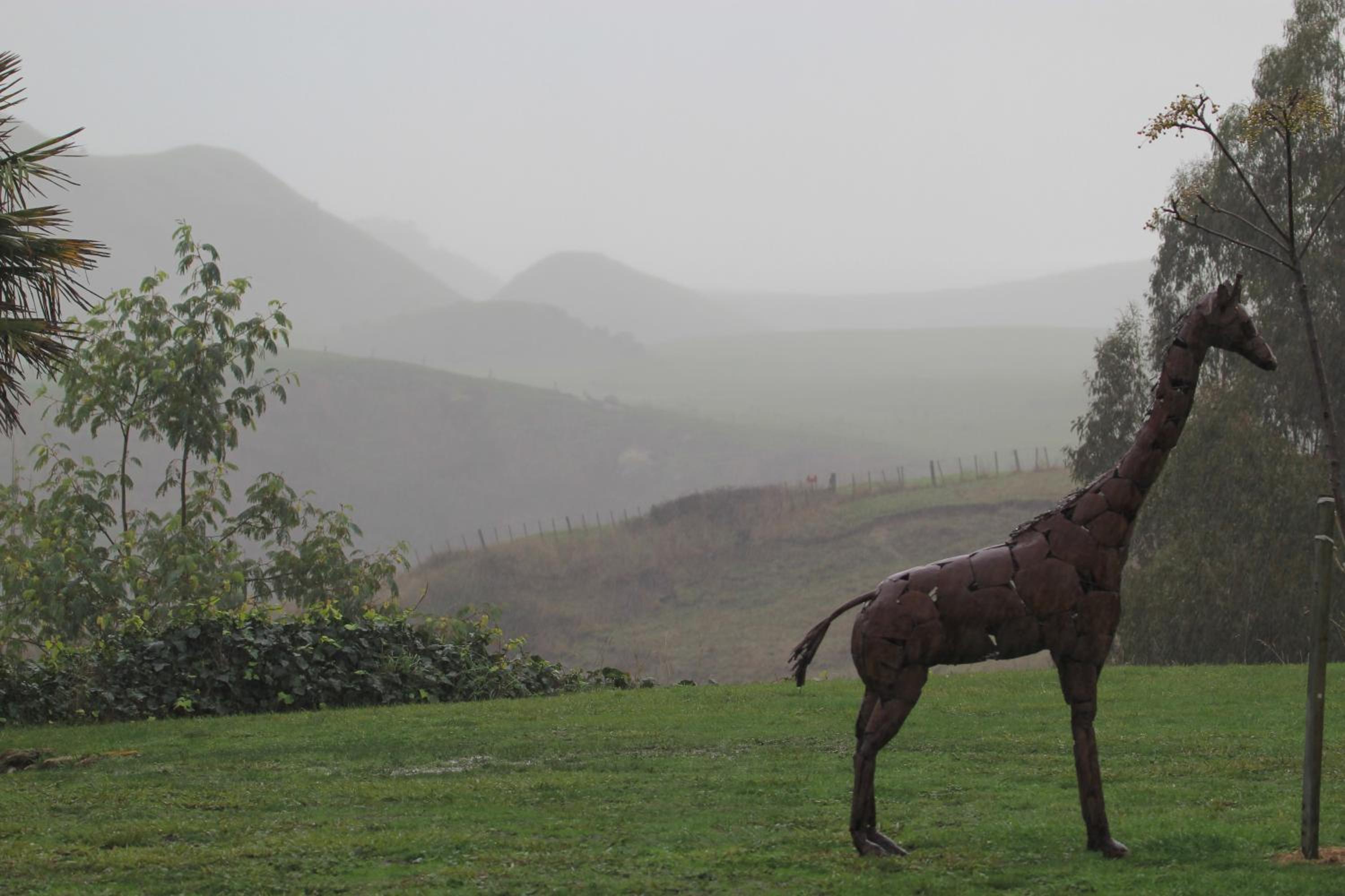 Cape South Estate - International award-winning country estate with Pacific views view 3