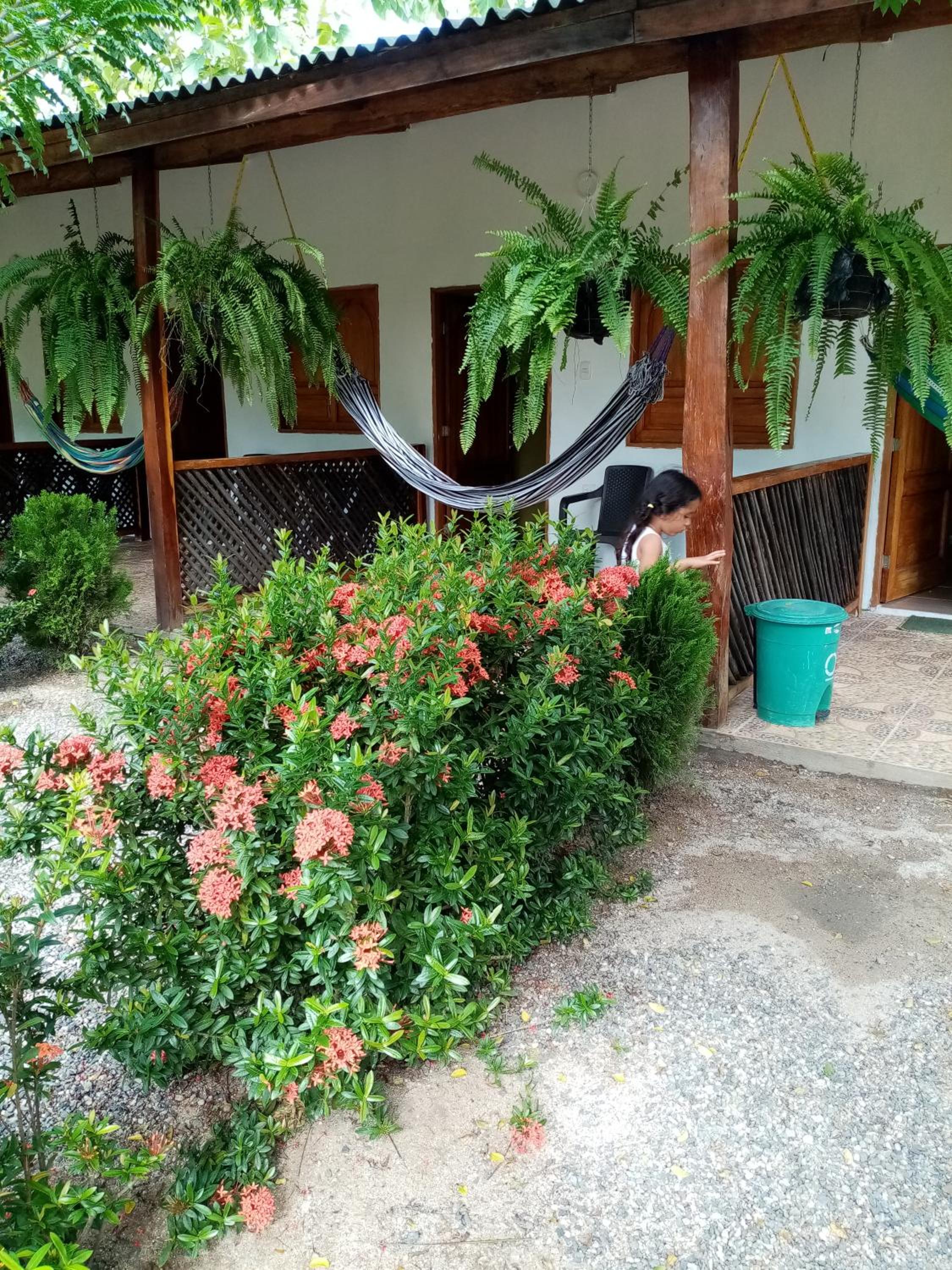 Hostal La Finquita