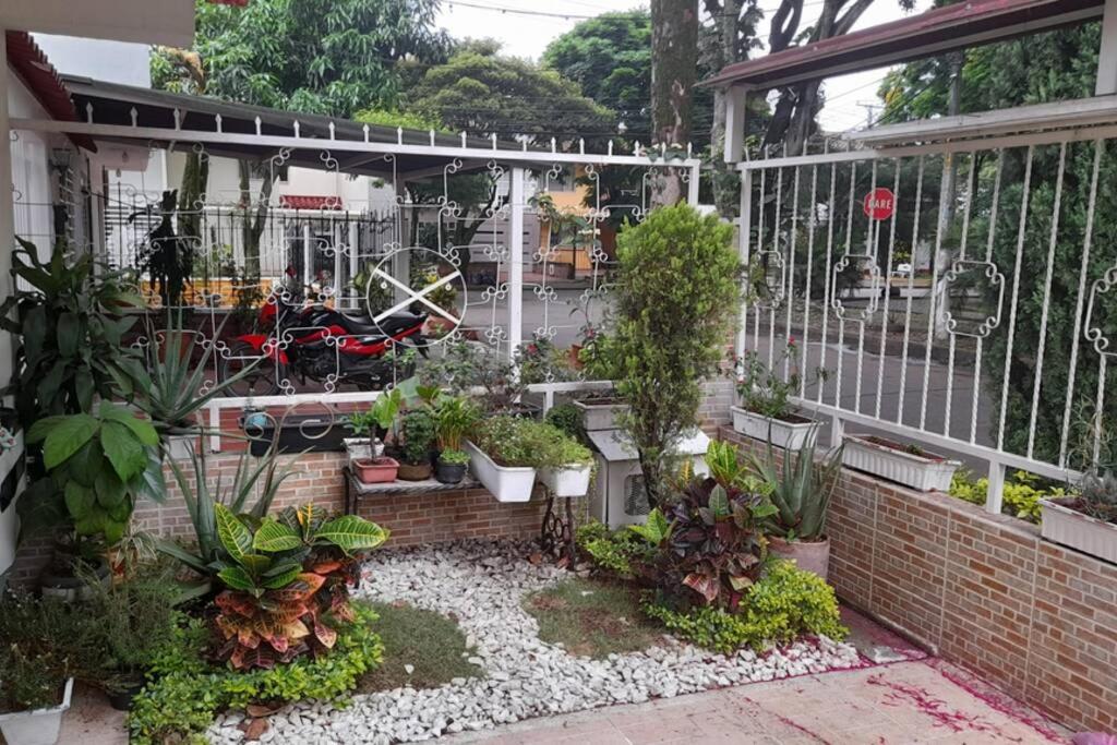 EXCELENTE ESTADIA EN UN BOSQUE DENTRO DE CALI..