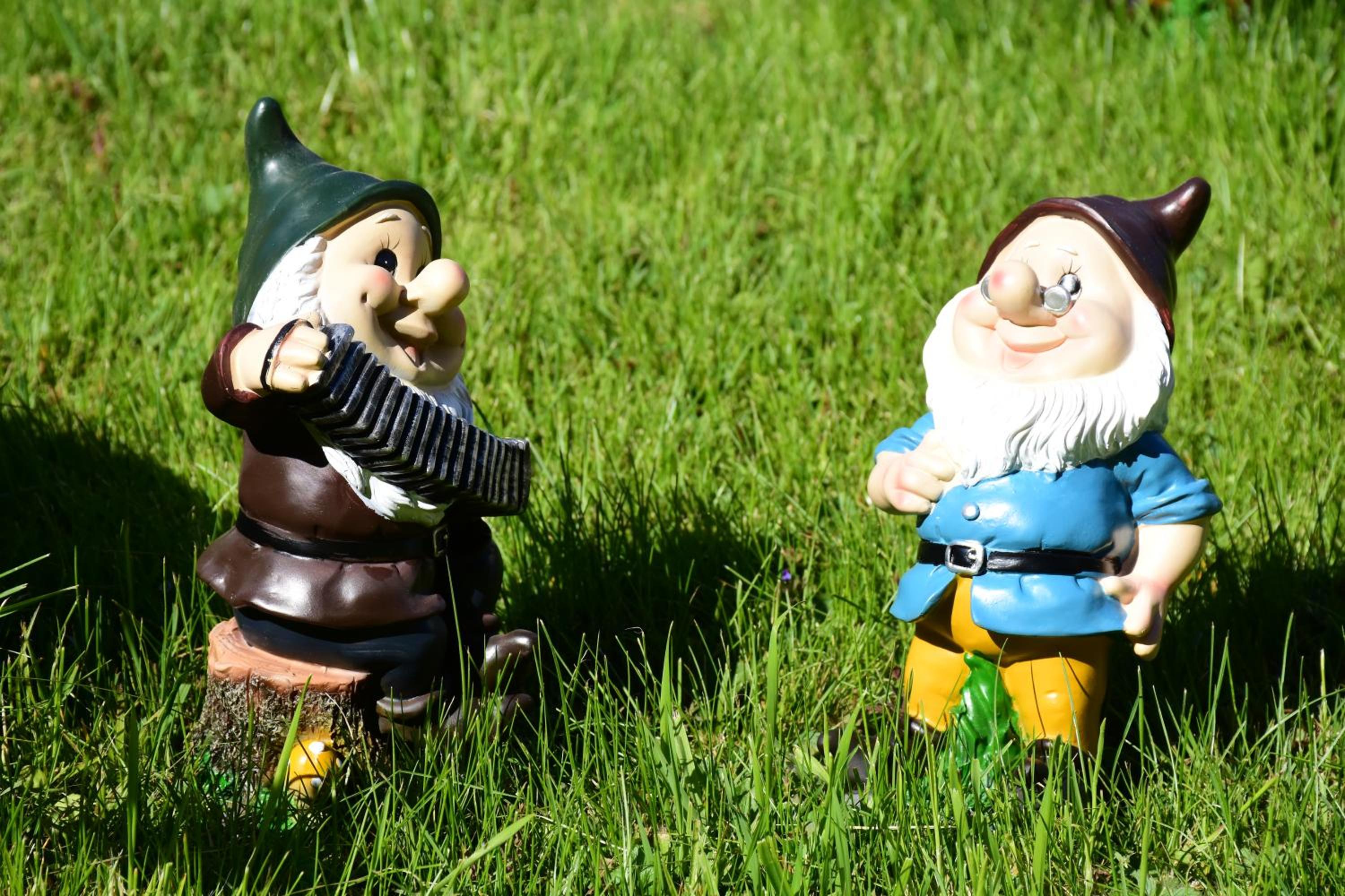 Photo 47