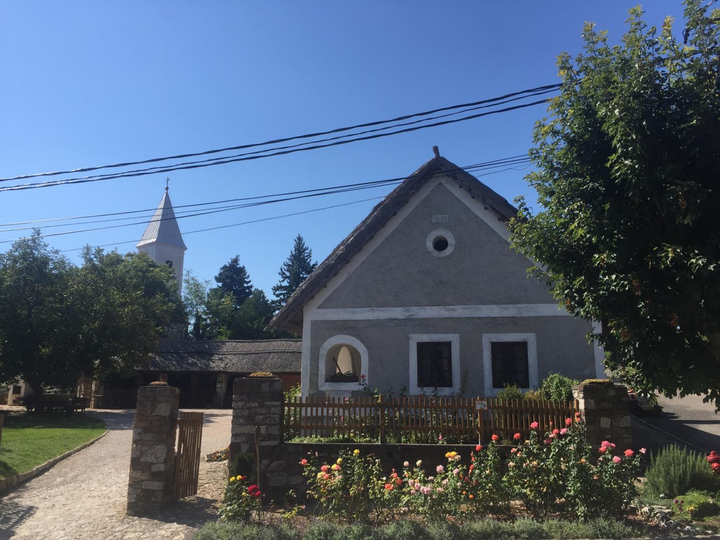 Photo 41