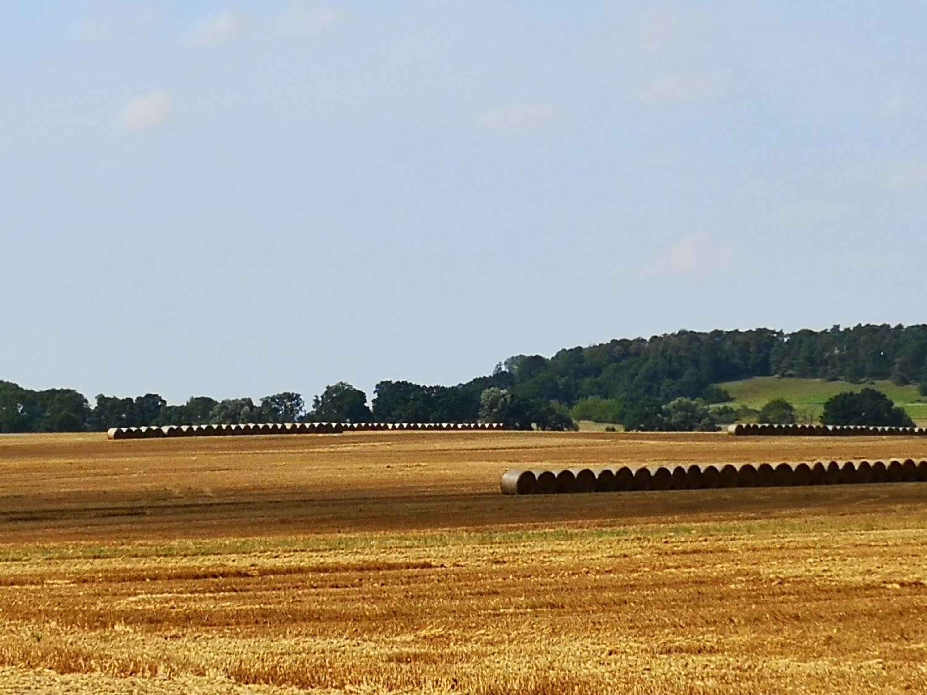 Bahnhof Hohen Mistorf