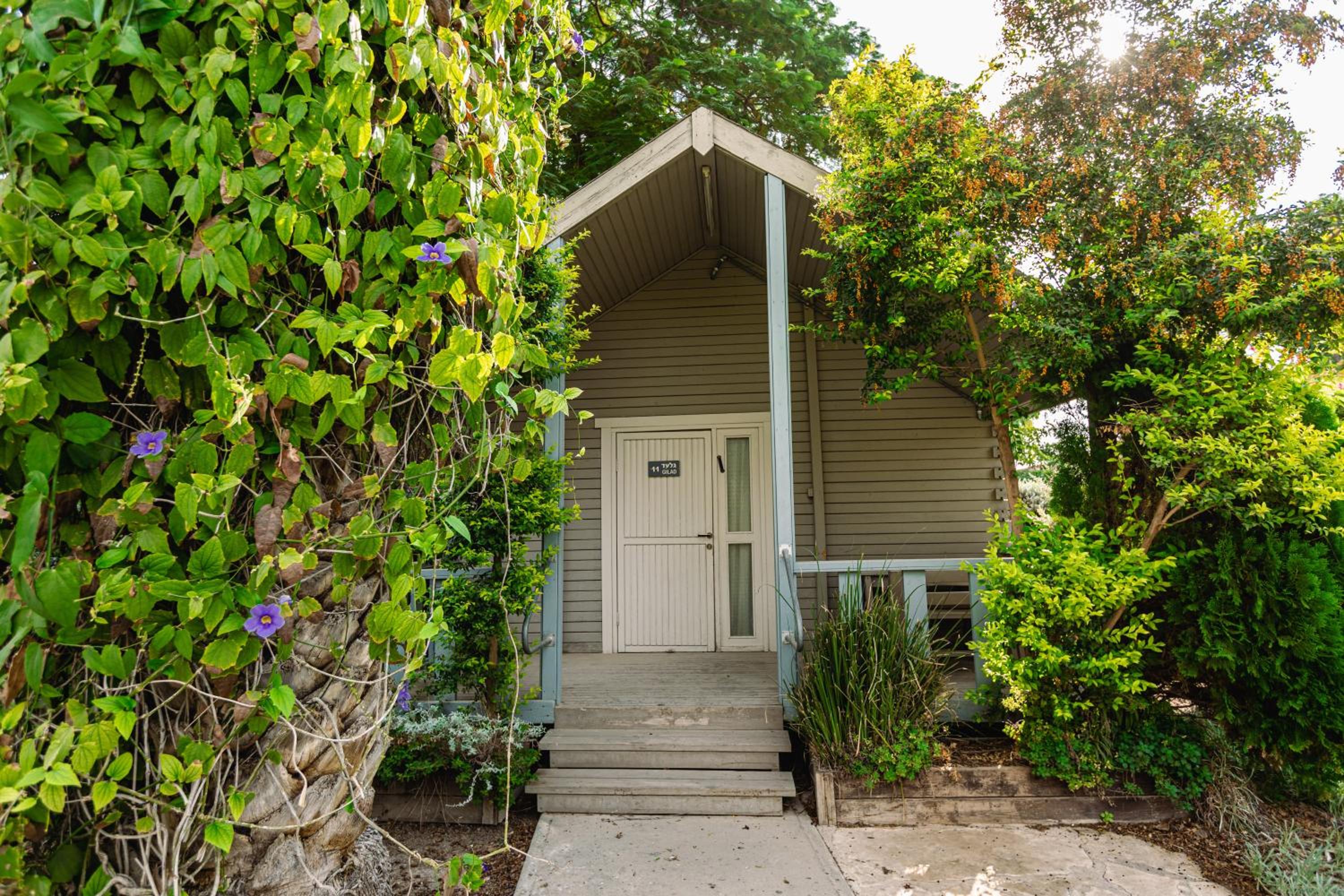 Nir David Country Lodge - Rustic Stay with Shelter Access view 5