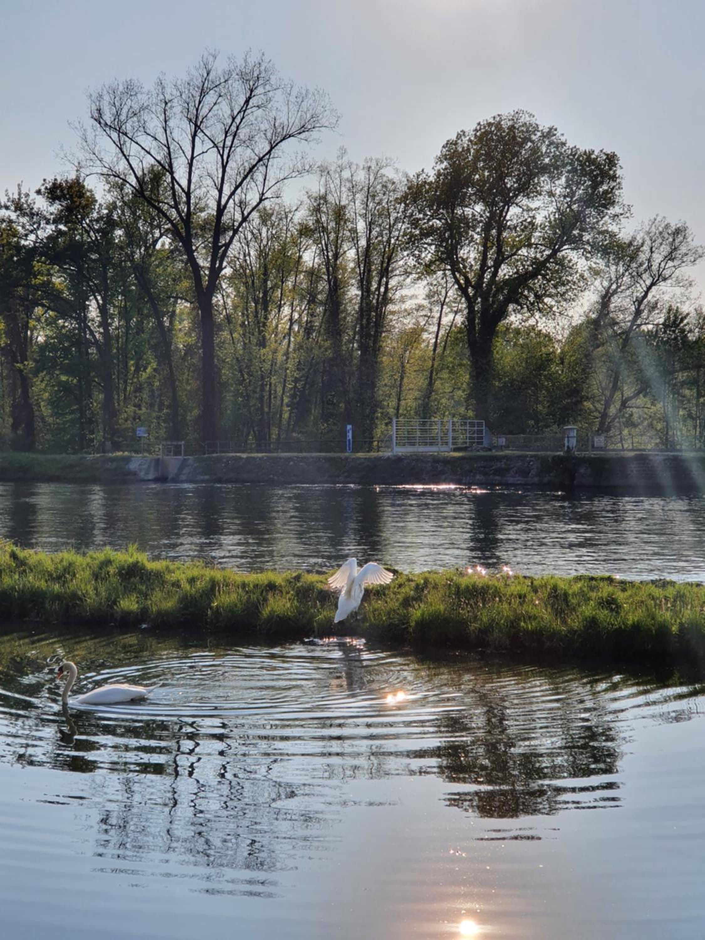 Photo 46