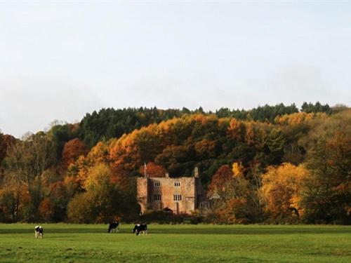Bickleigh Castle