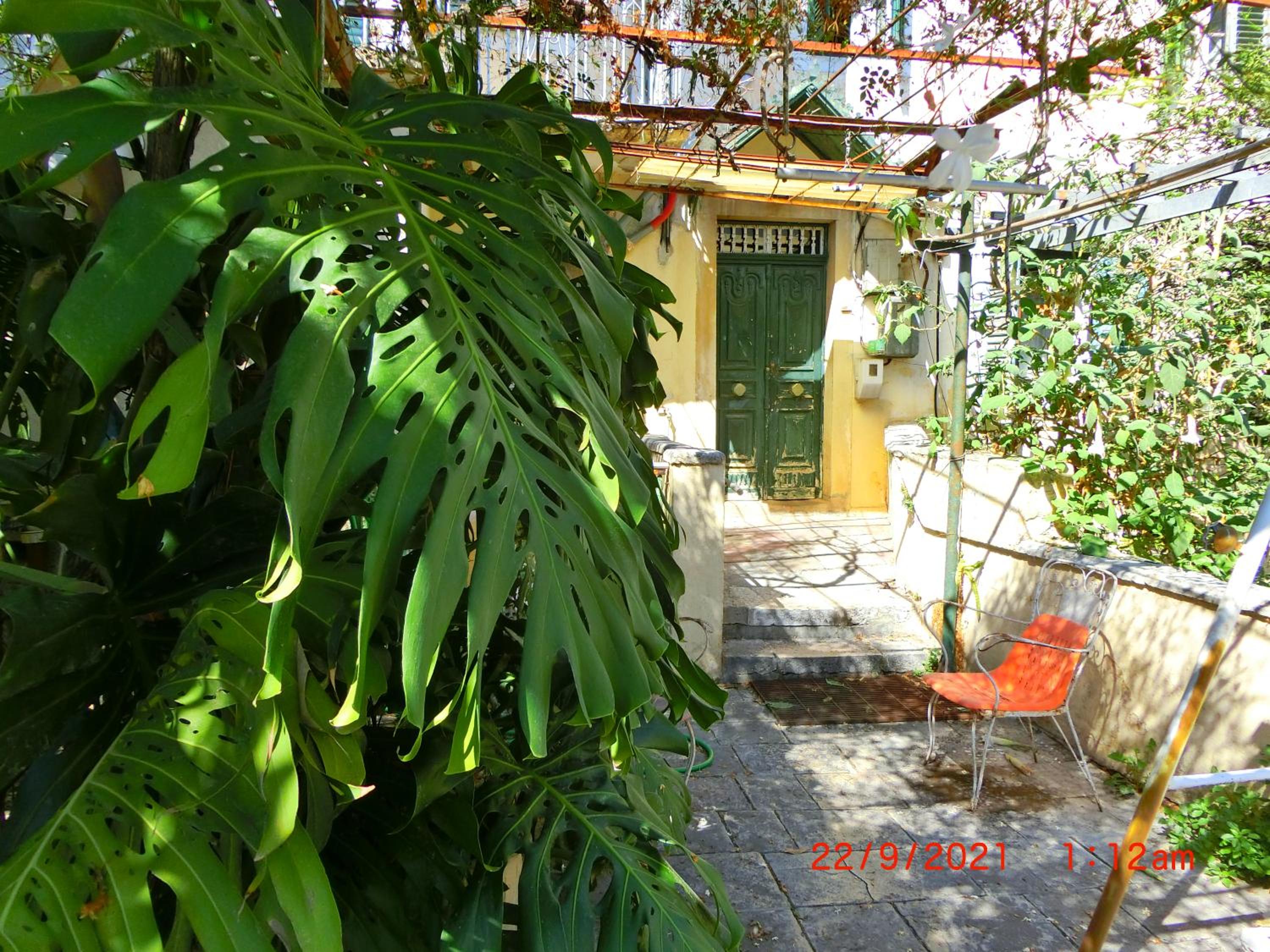 Photo 44