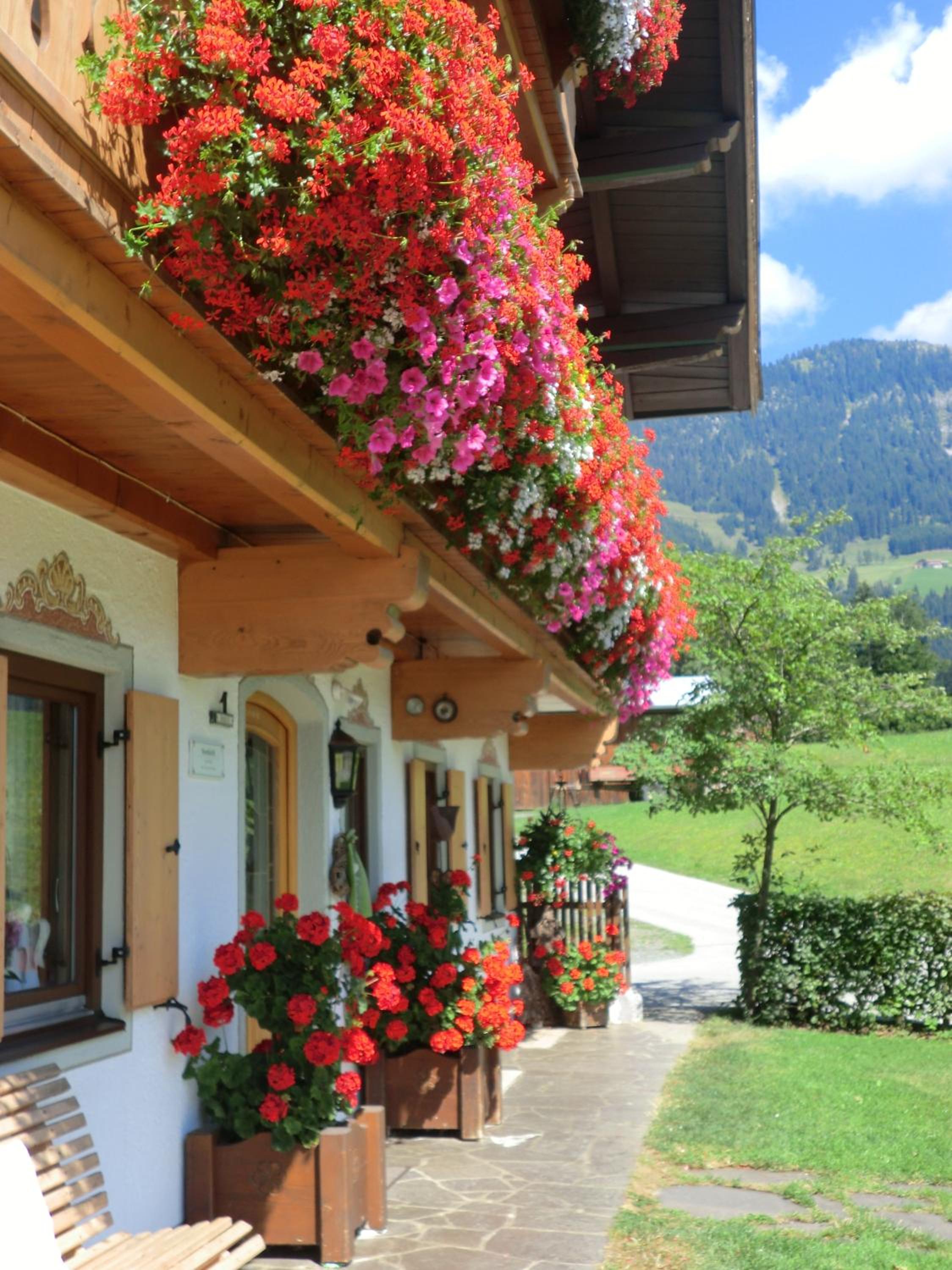 Vornbichlhof view 4