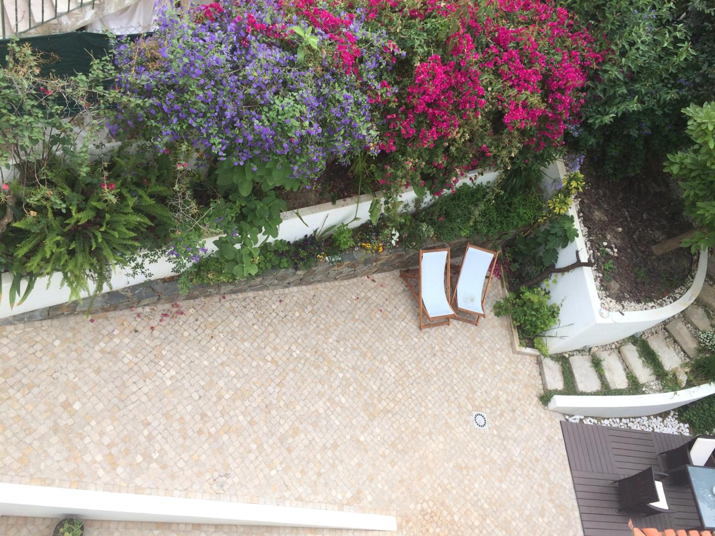 Photo 41