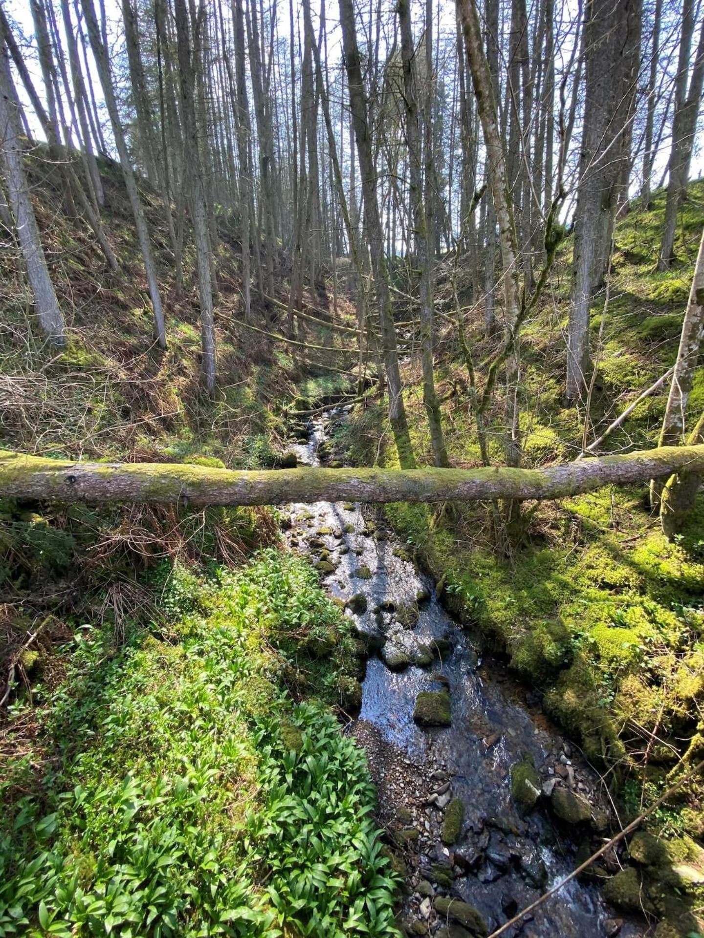 Photo 46
