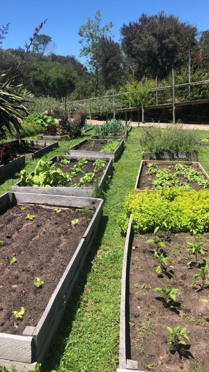 garden