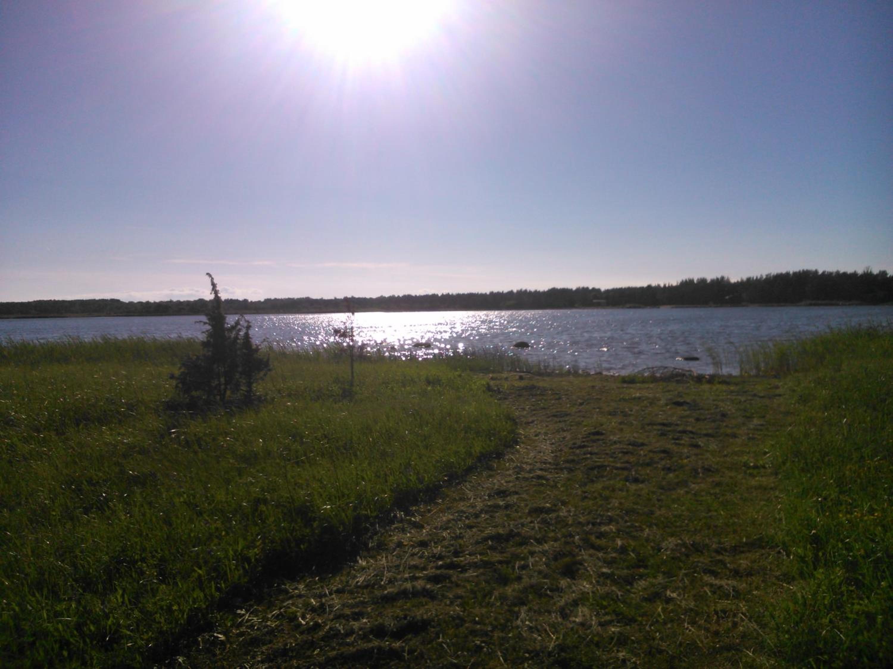 Paatsalu Camping