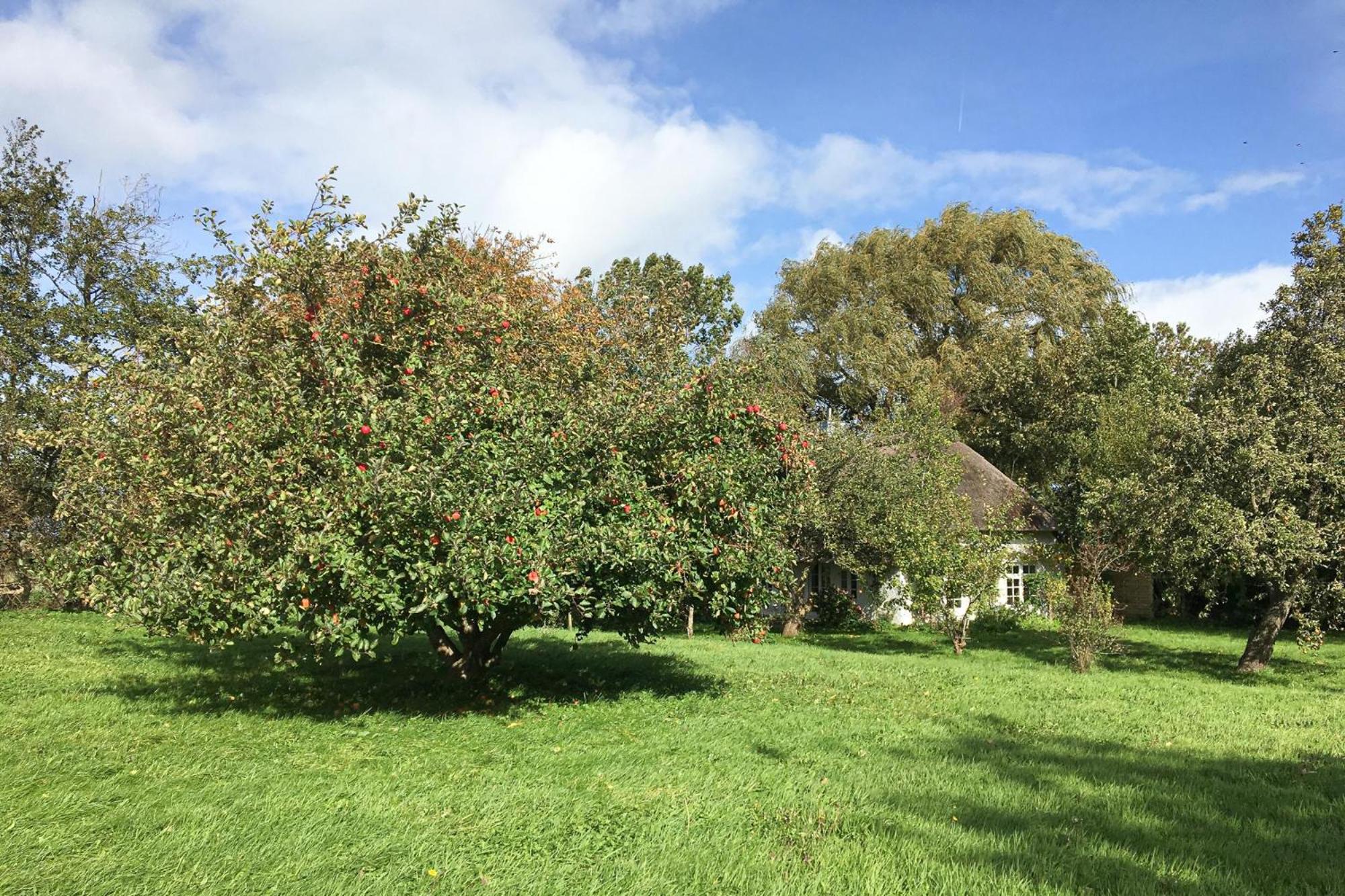 Photo 17