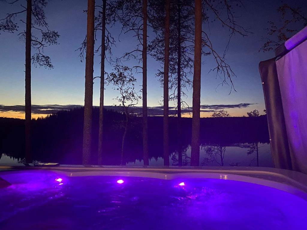 Lake Resort Paljakka view 5