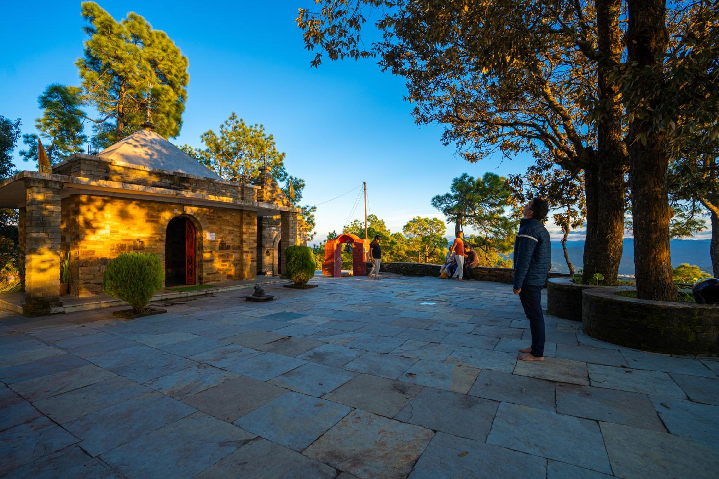 Photo 6