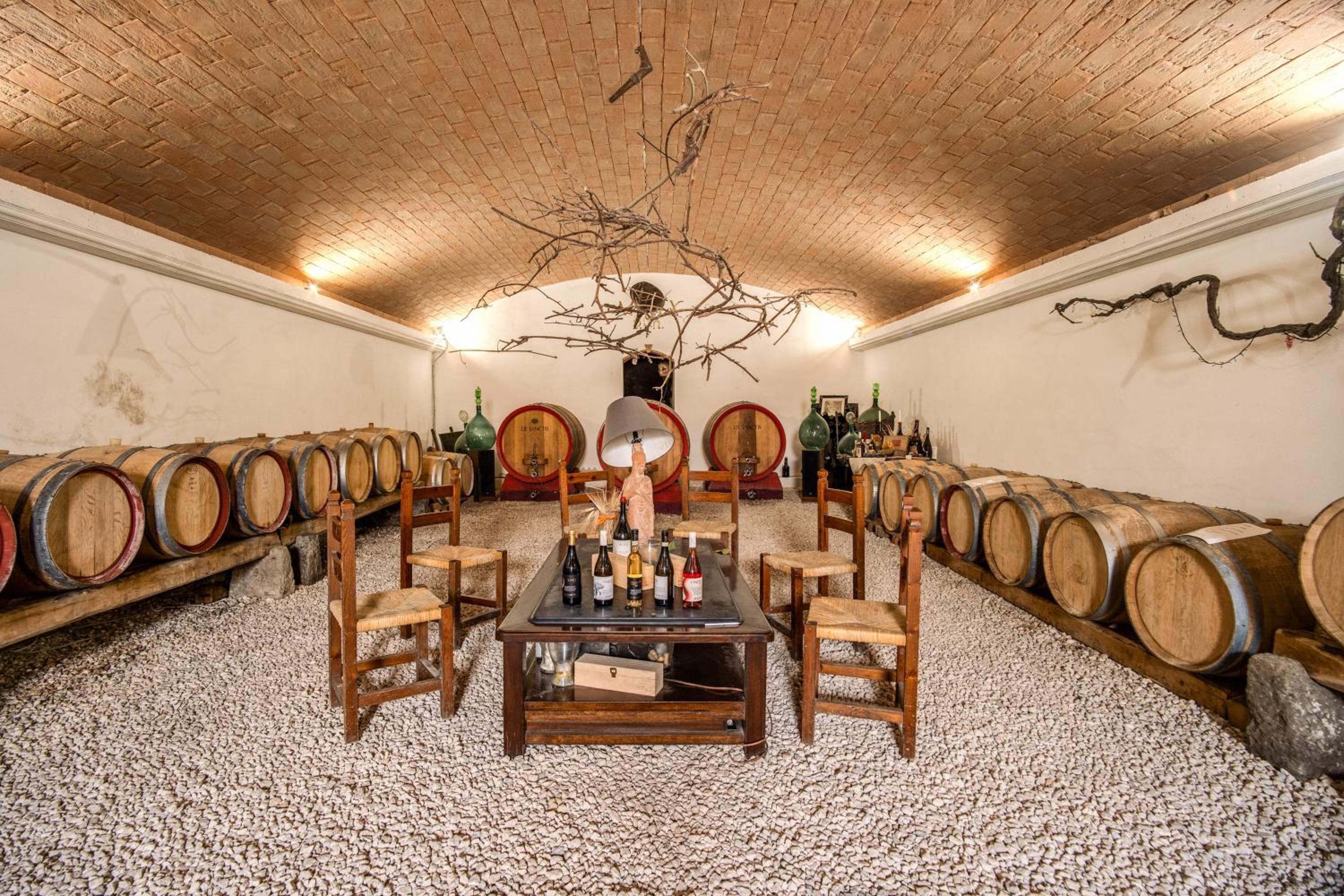 Un' Ottima Annata - La casa nel vigneto view 4