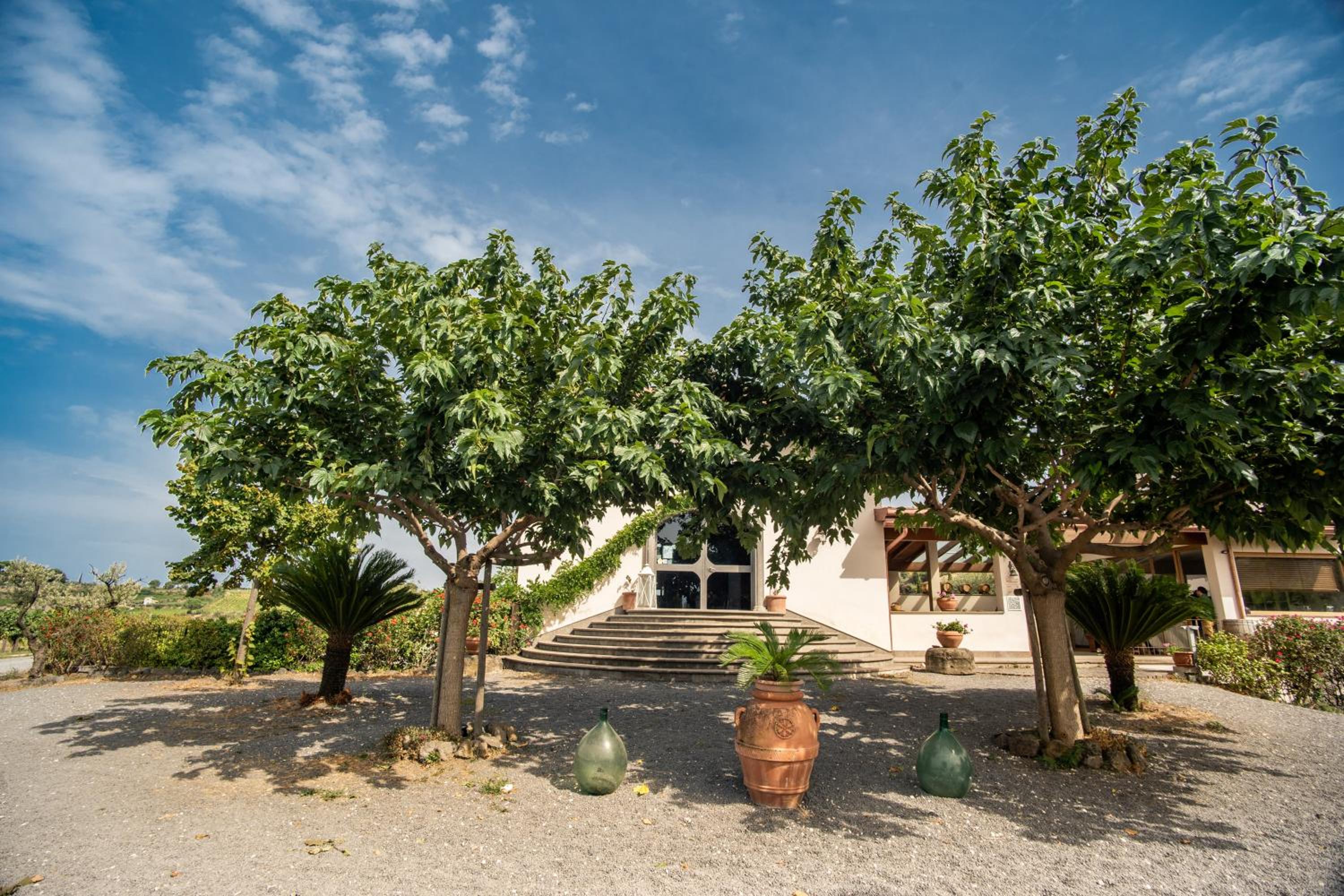 Un' Ottima Annata - La casa nel vigneto view 2