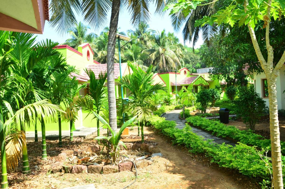 garden