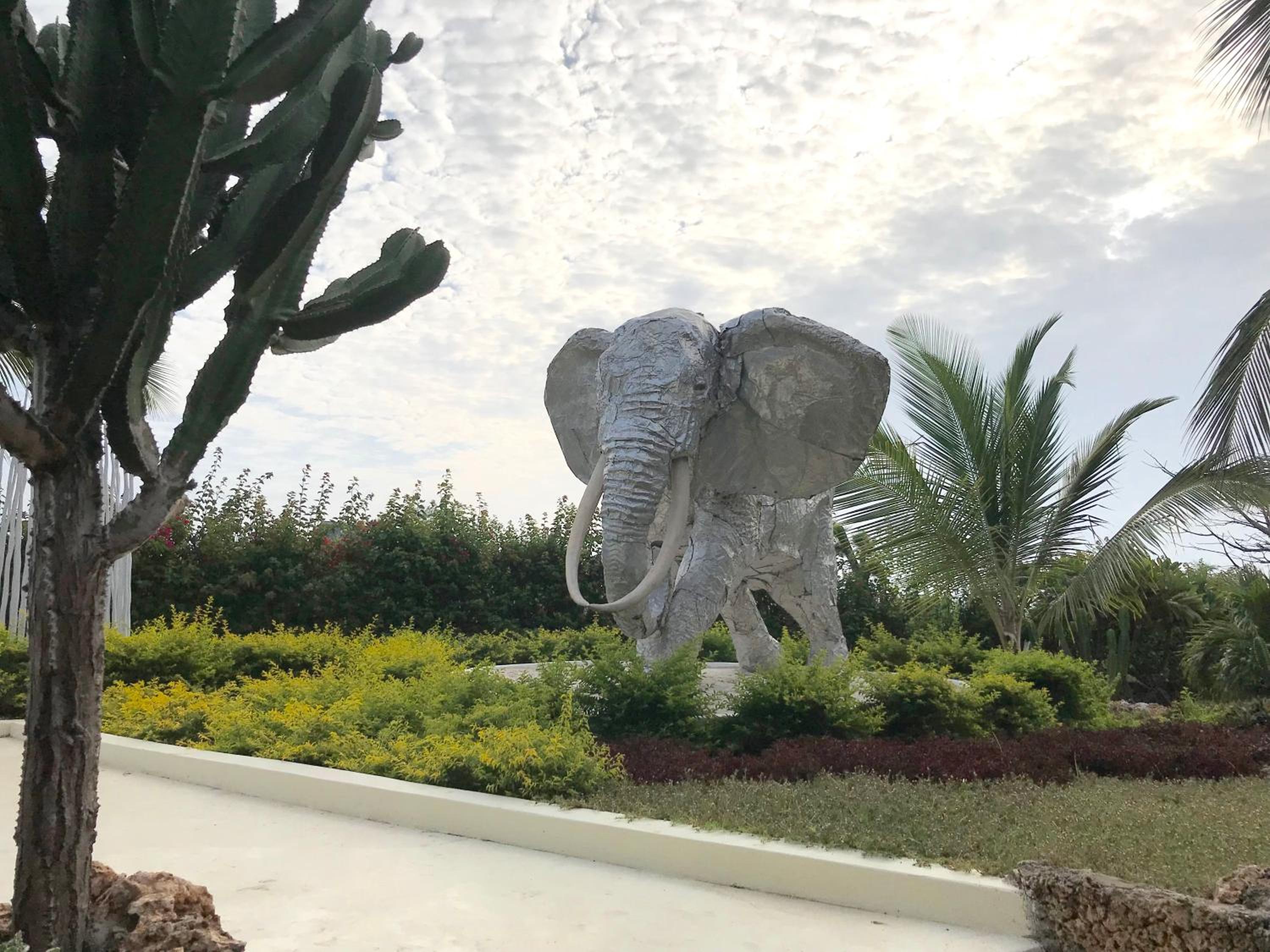 Fortamu Coral House, photo 13