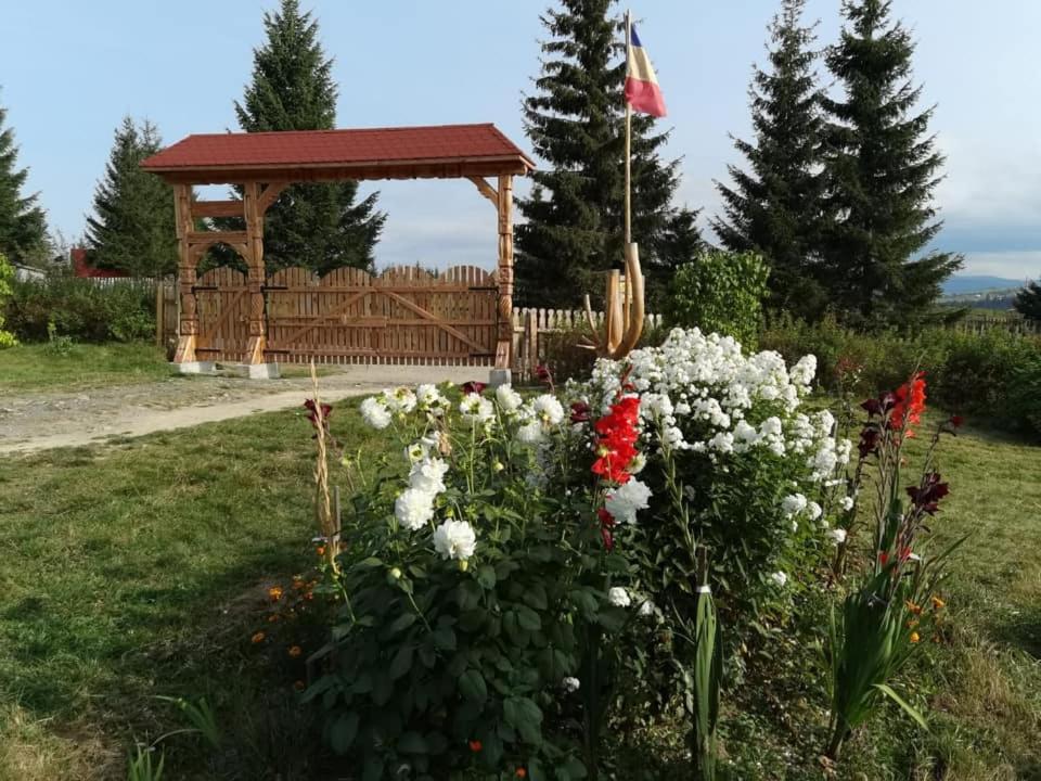 Cabanele FloriCrin - Cabana 2 en Mărişel