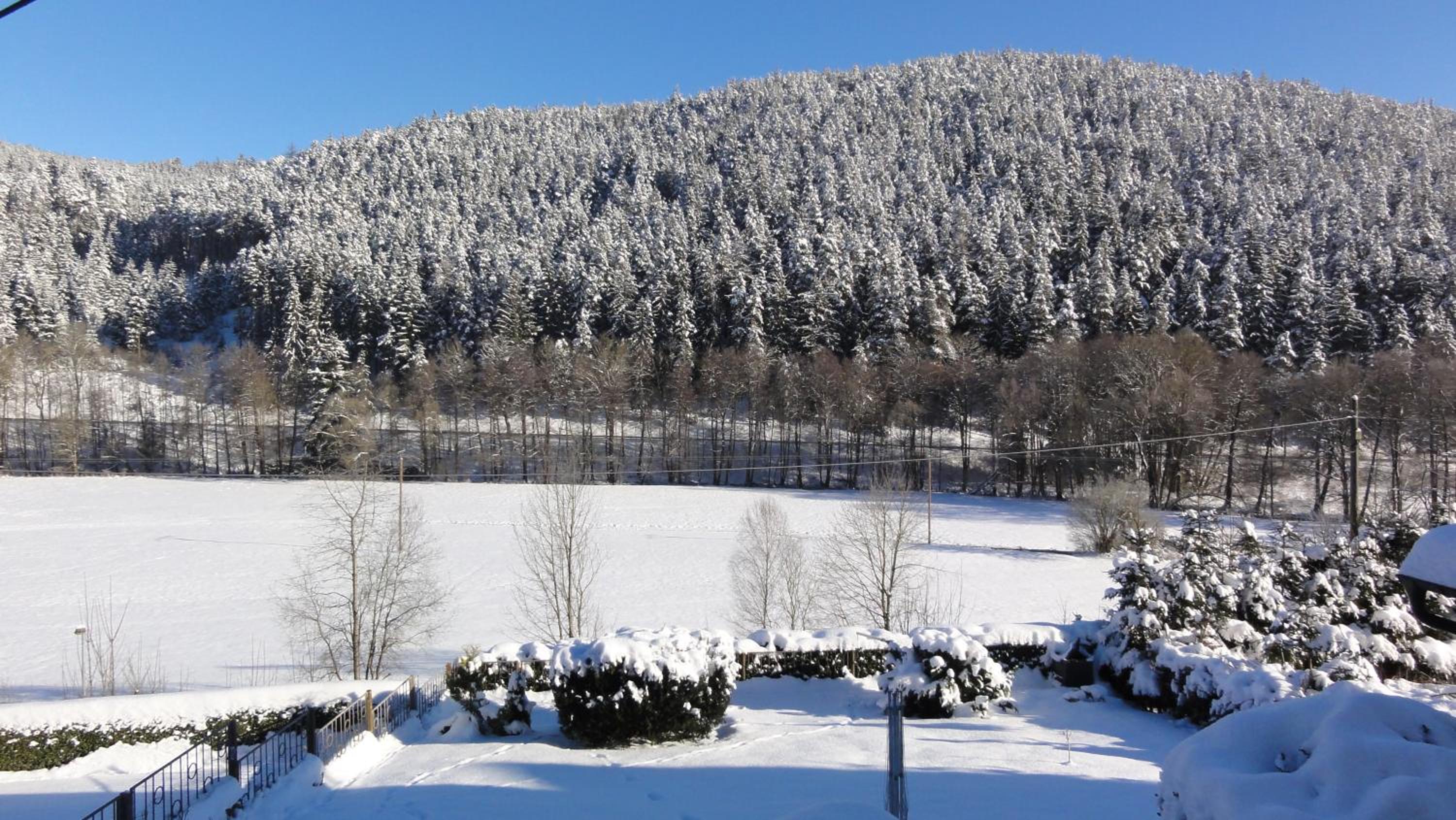 FeWo Obstfelderschmiede
