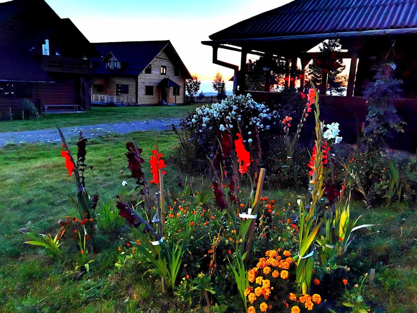 Cabanele FloriCrin - Cabana Mare view 2