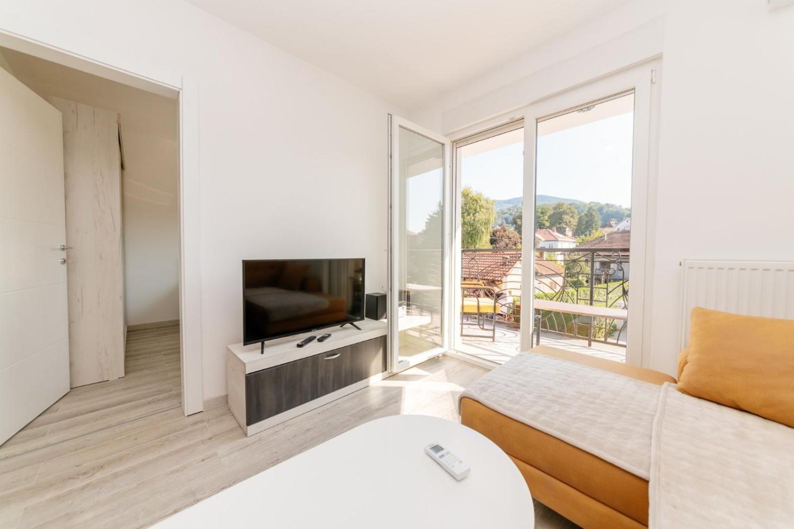 Apartman Jovana Banja Koviljaca view 3