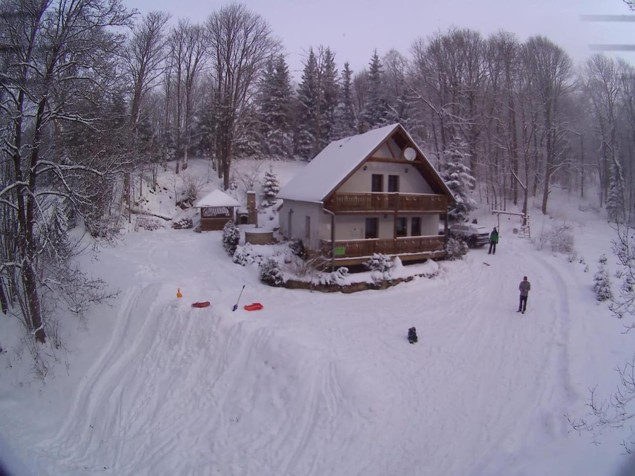 Photo 42