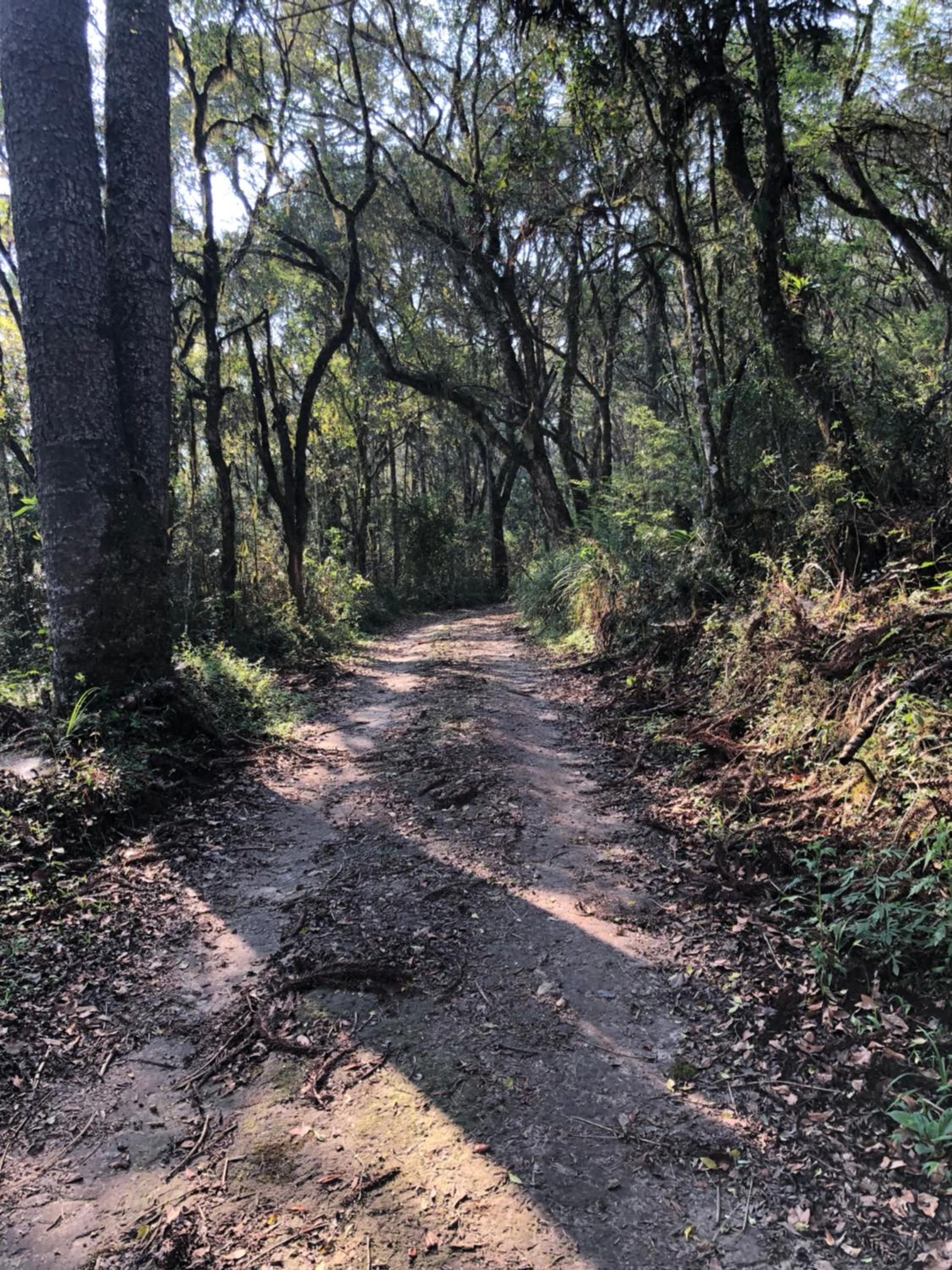 Casa de Campo #Rancho pela saco
