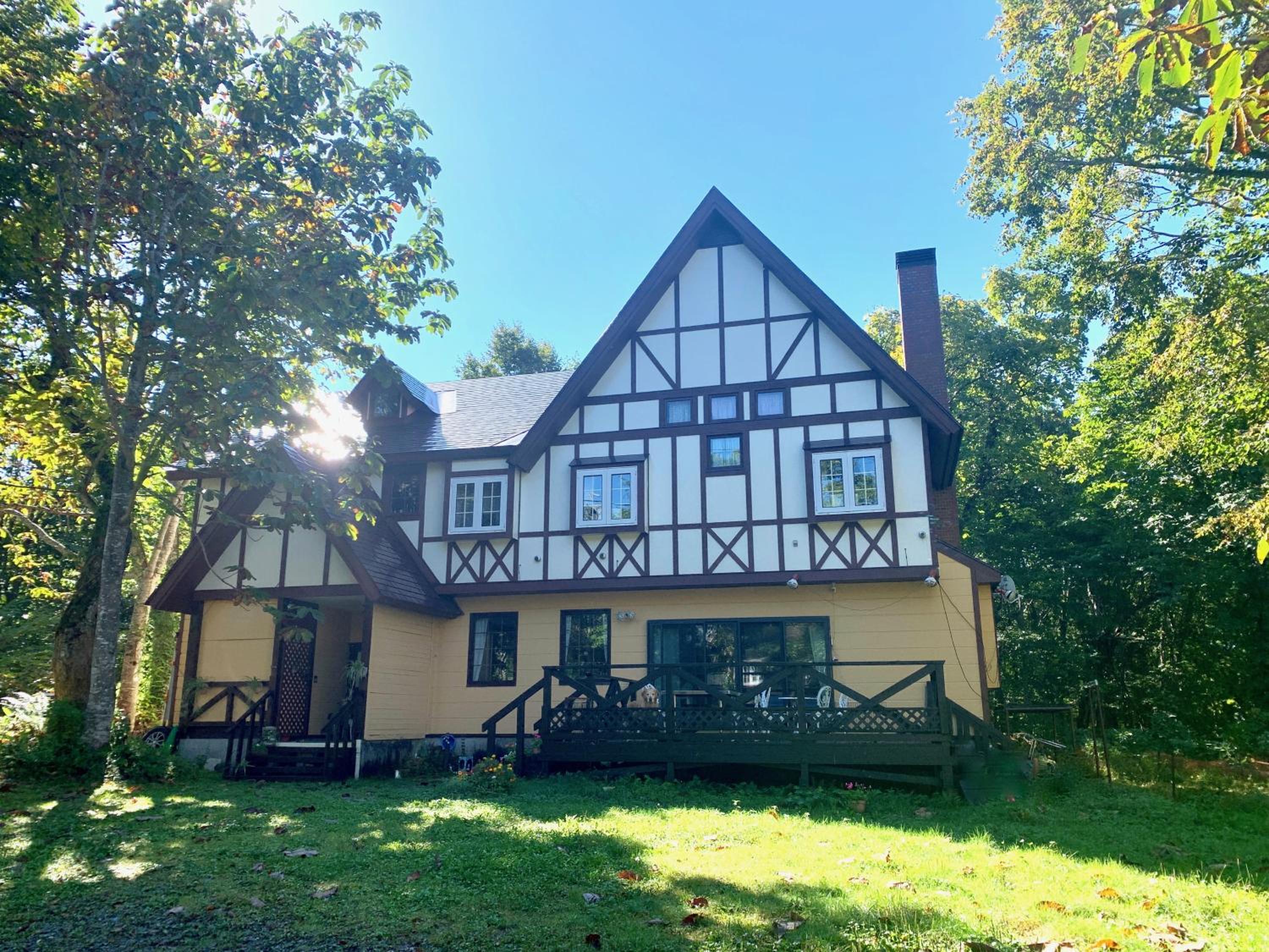 Photo 50