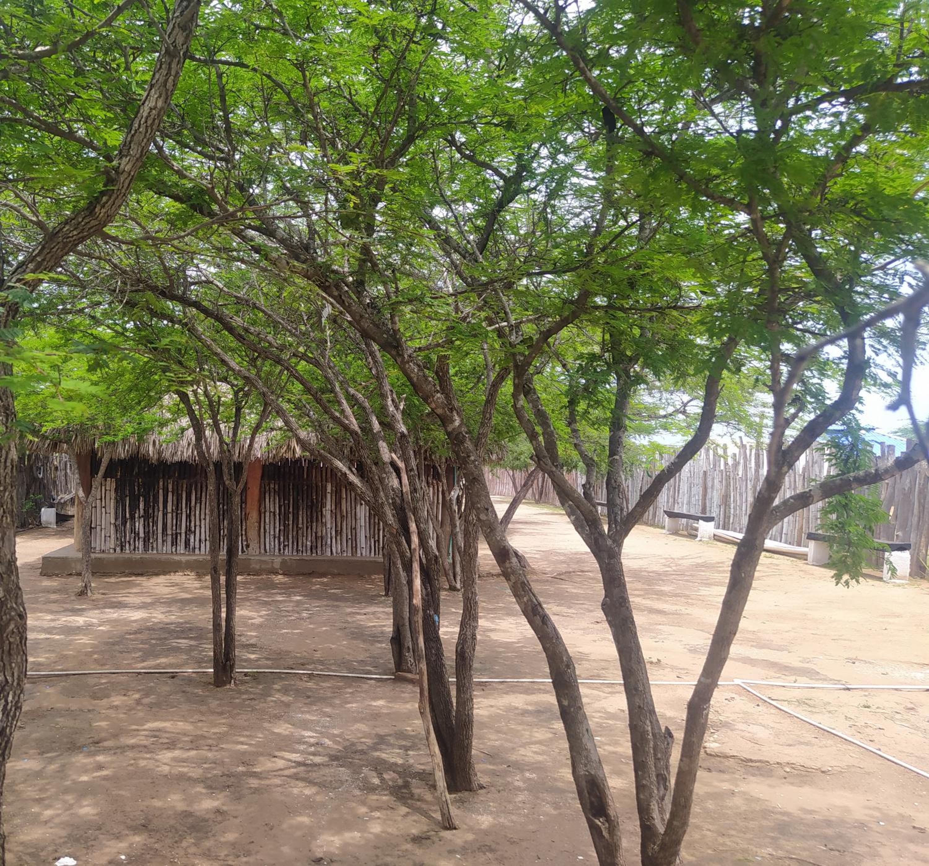 Hostal CQ Camarones