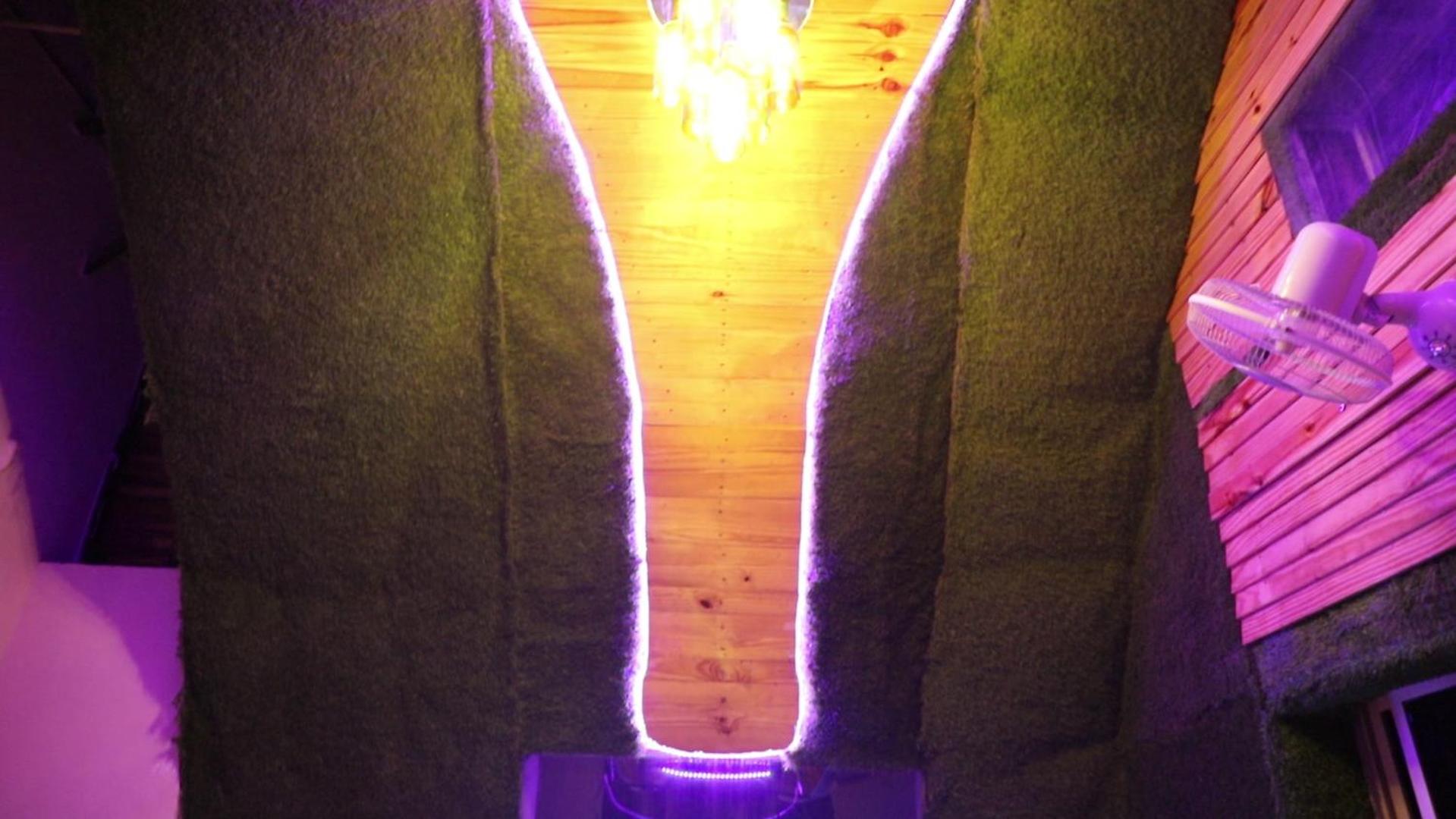 Photo 26