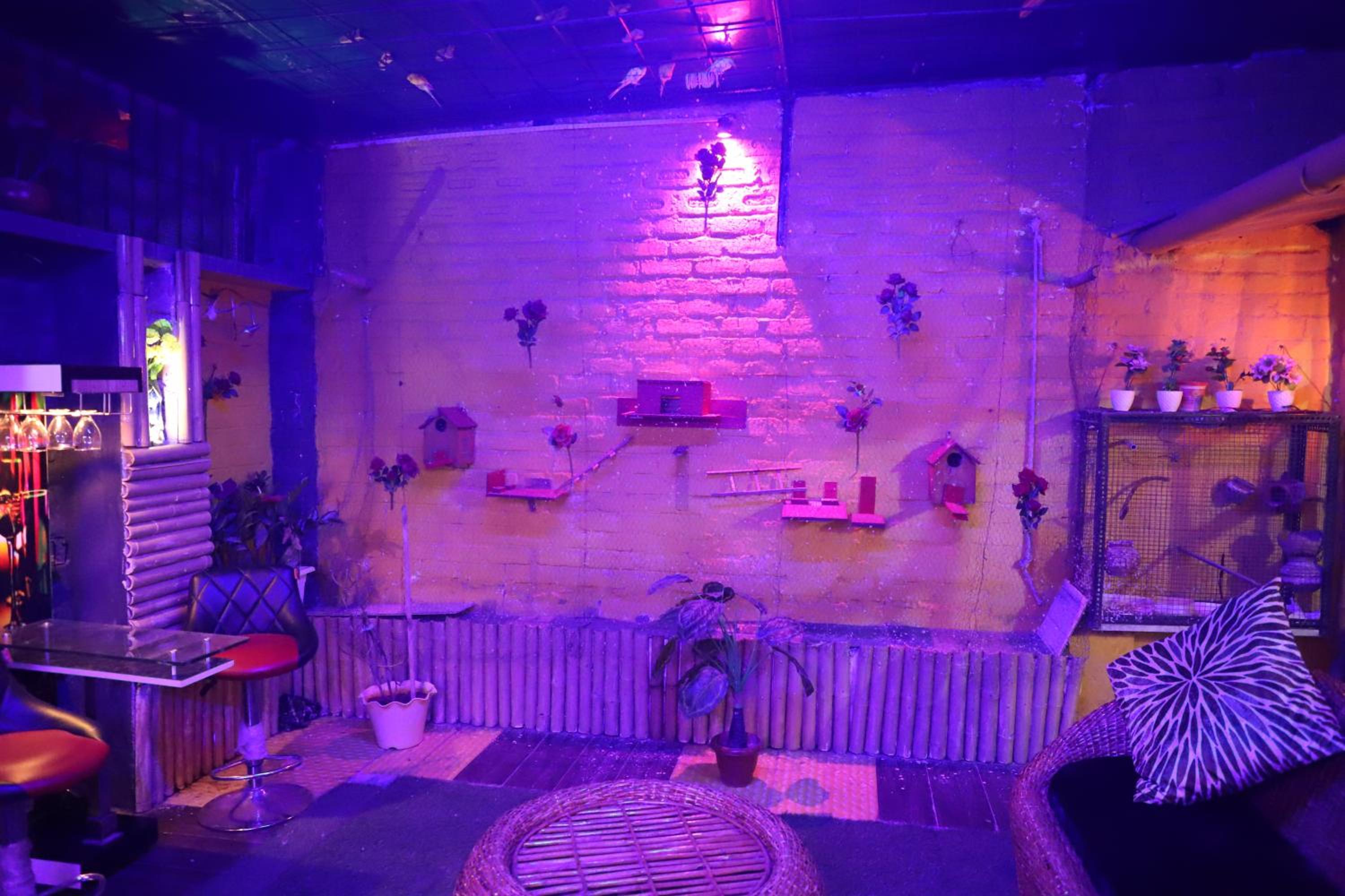 Photo 39