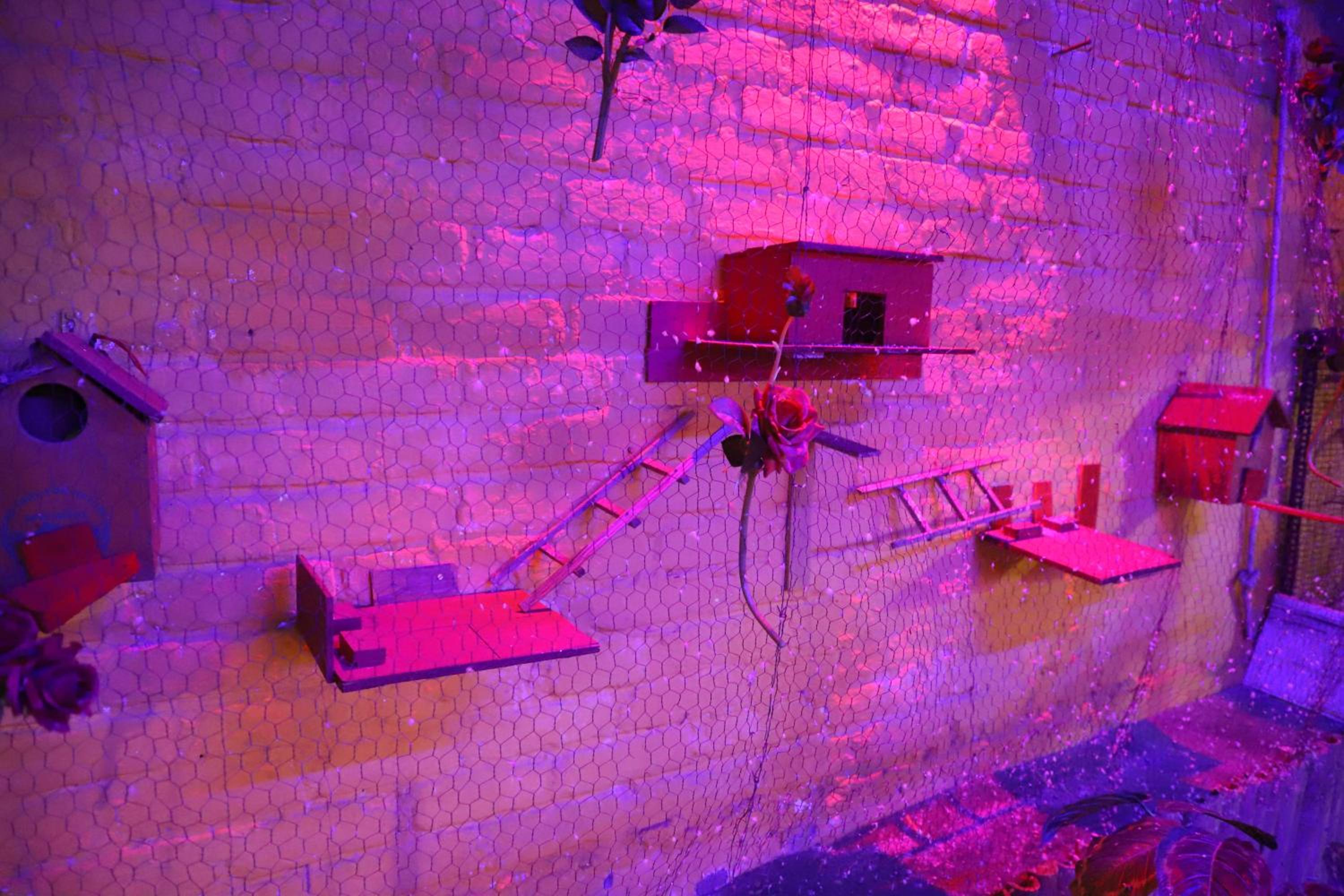 Photo 37