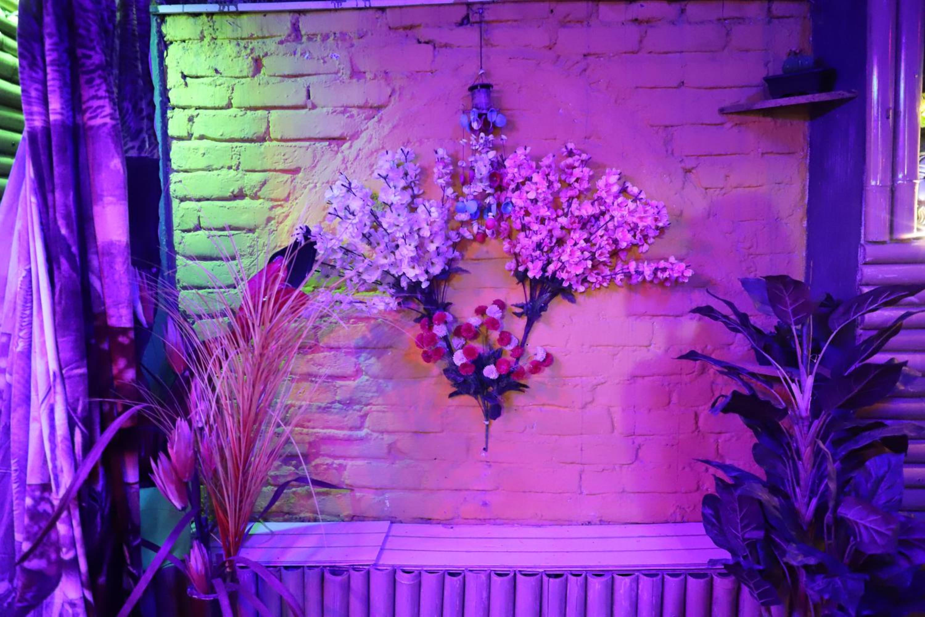 Photo 43