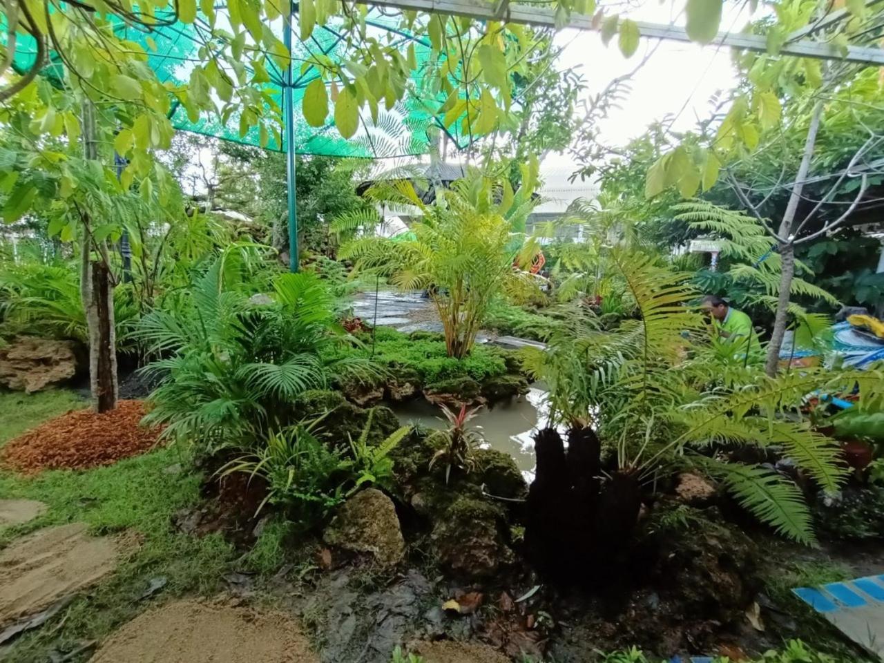 P.Paradise Hotel