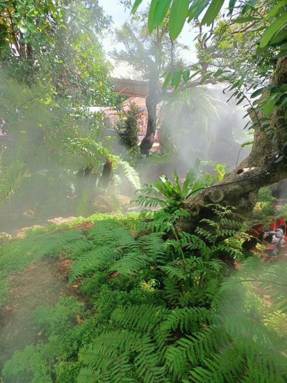 P.Paradise Hotel