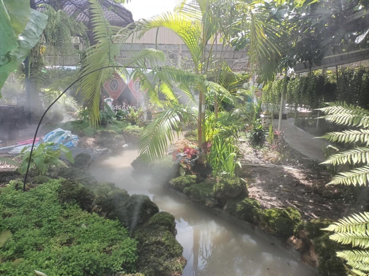 P.Paradise Hotel