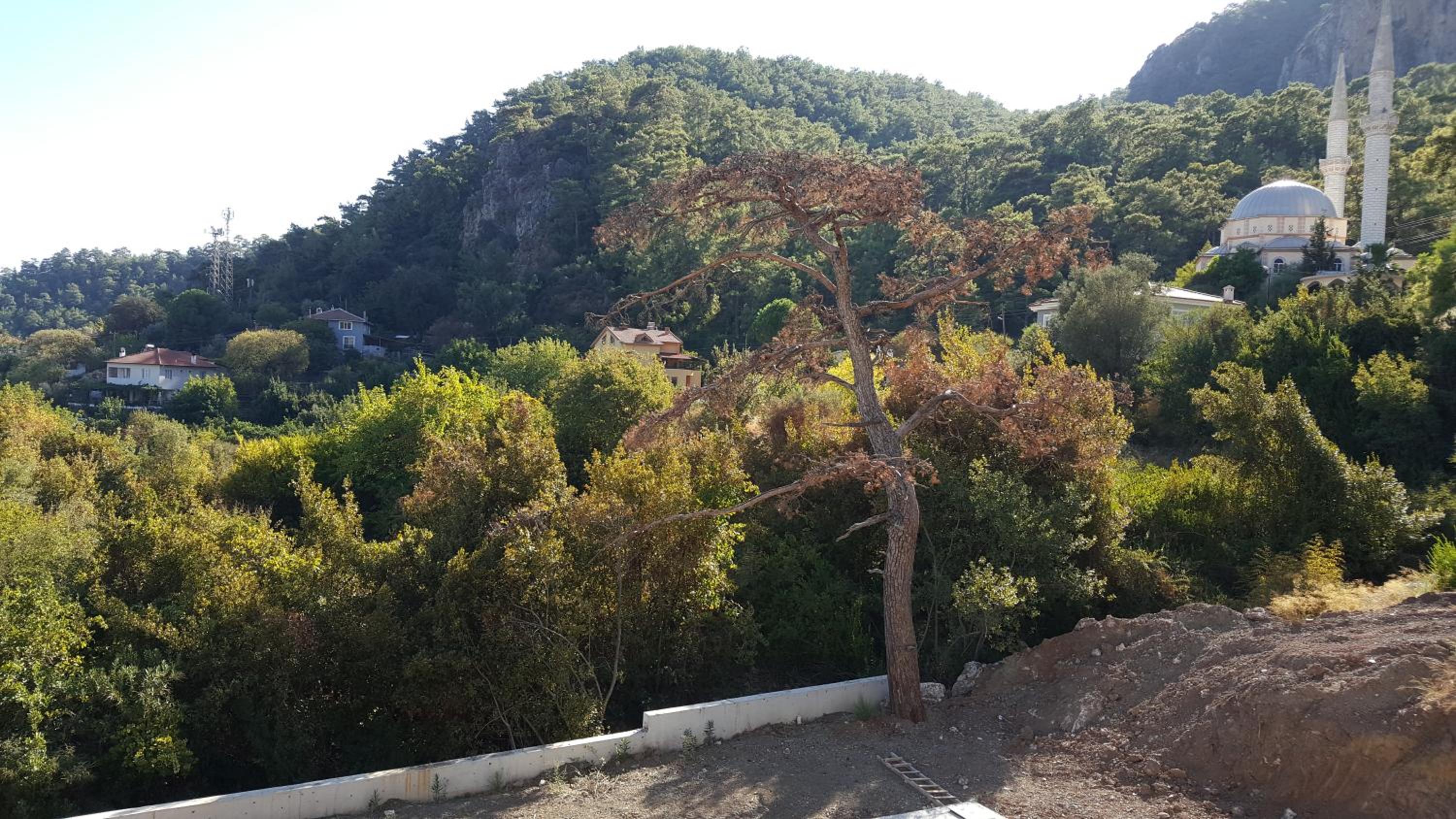 Suna Summer House view 4