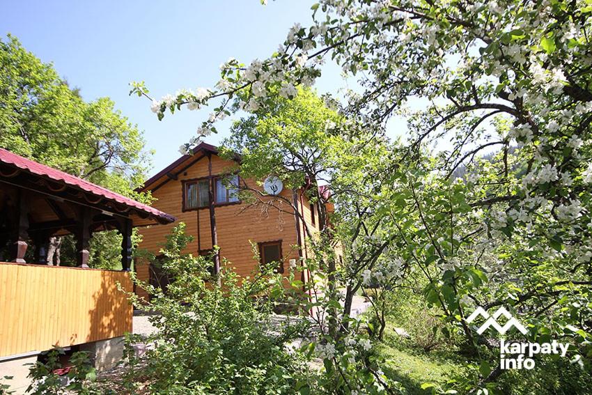 Photo 22
